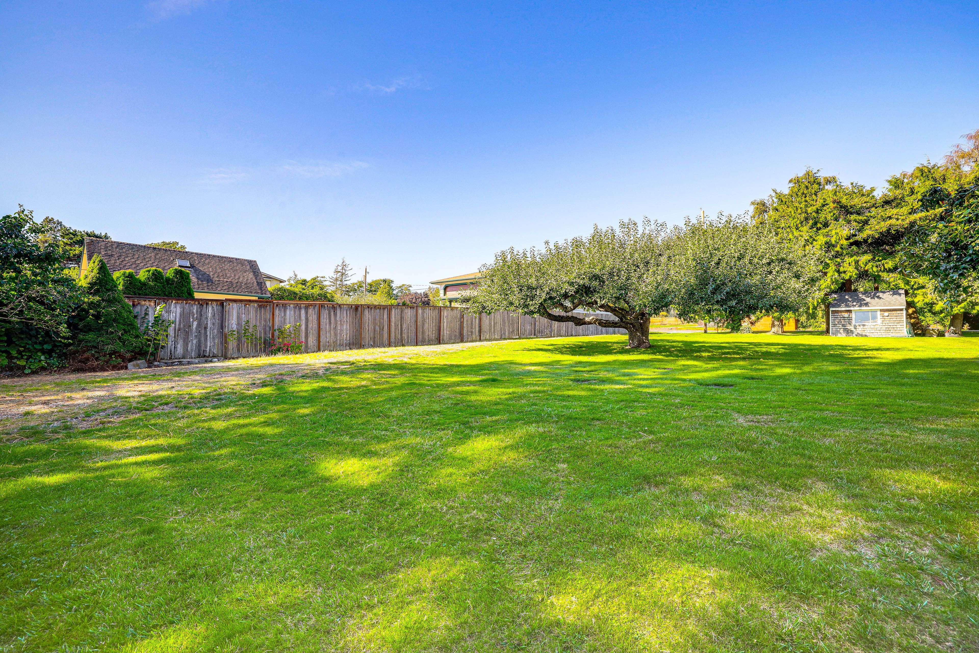 Shared Yard