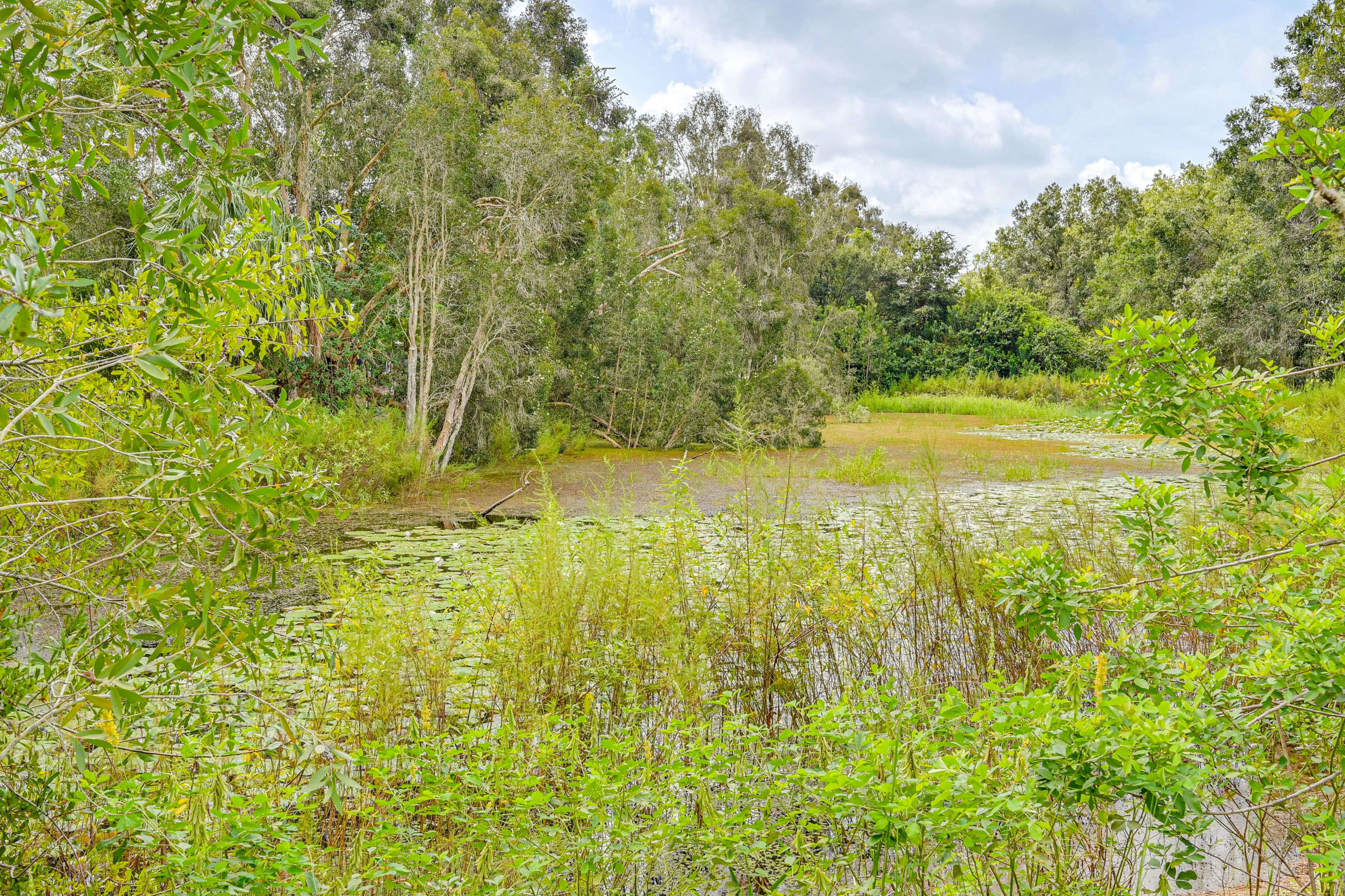 Nearby Pond Access