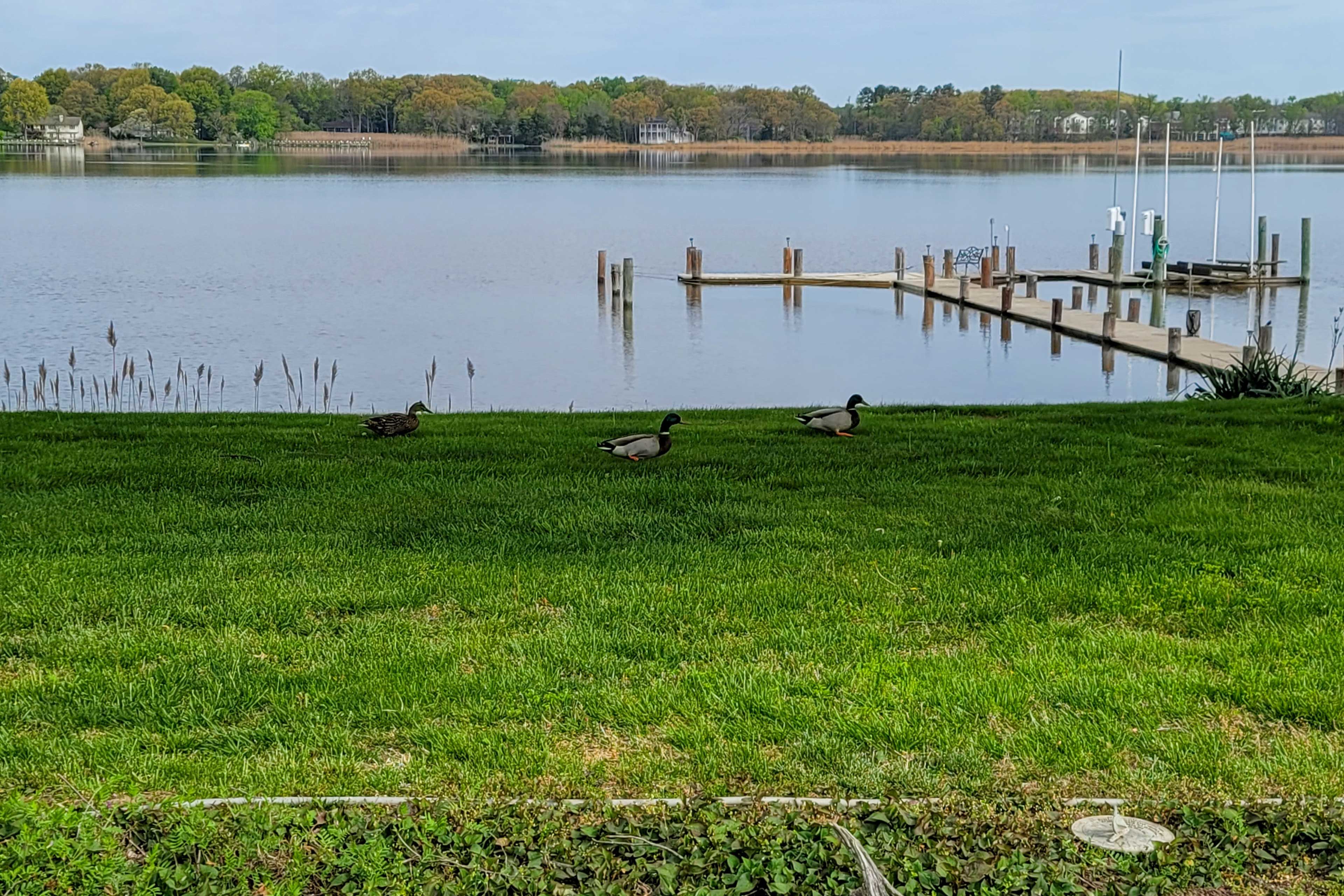 Boat Dock