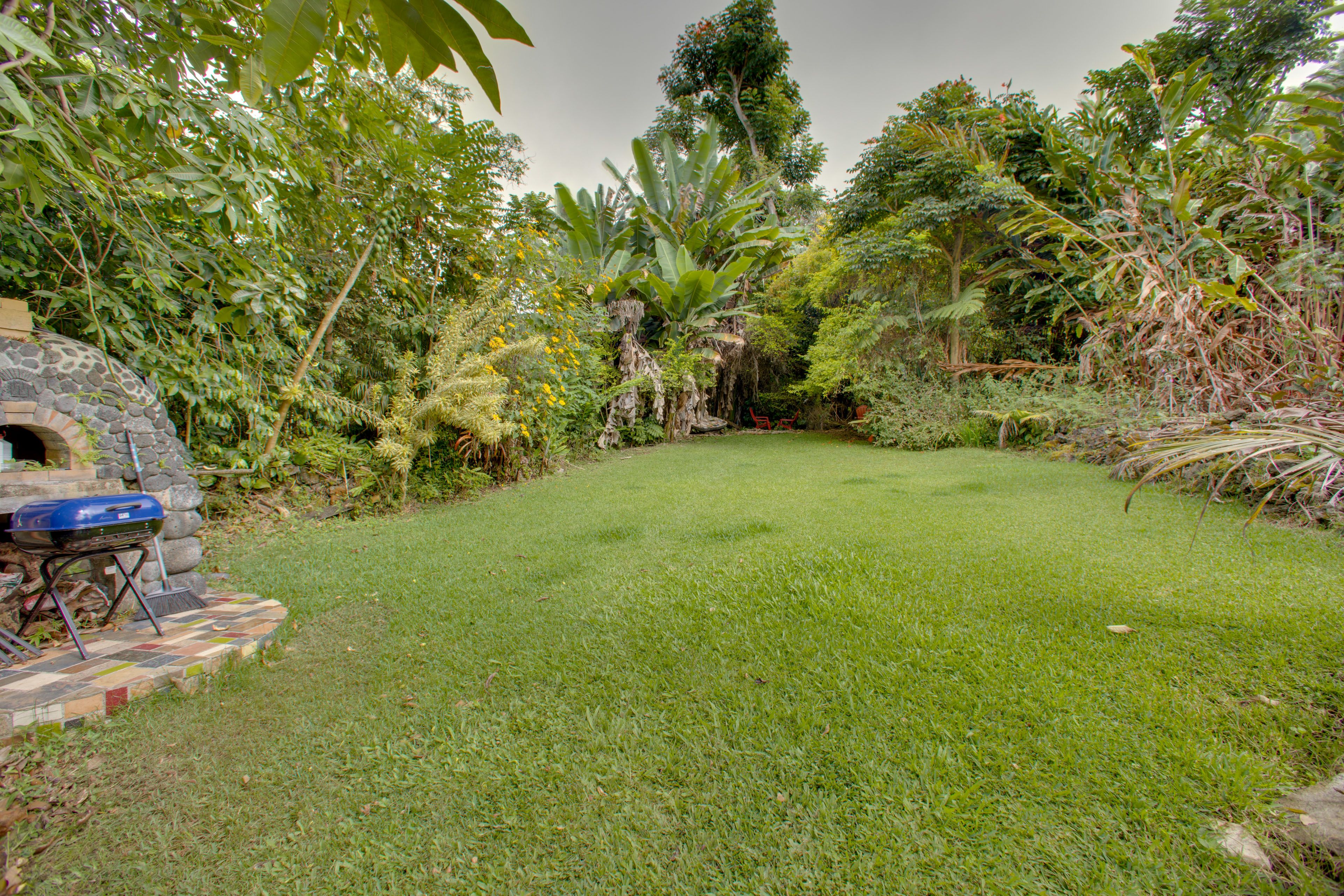 Shared Yard | Charcoal Grill | Fruit Trees