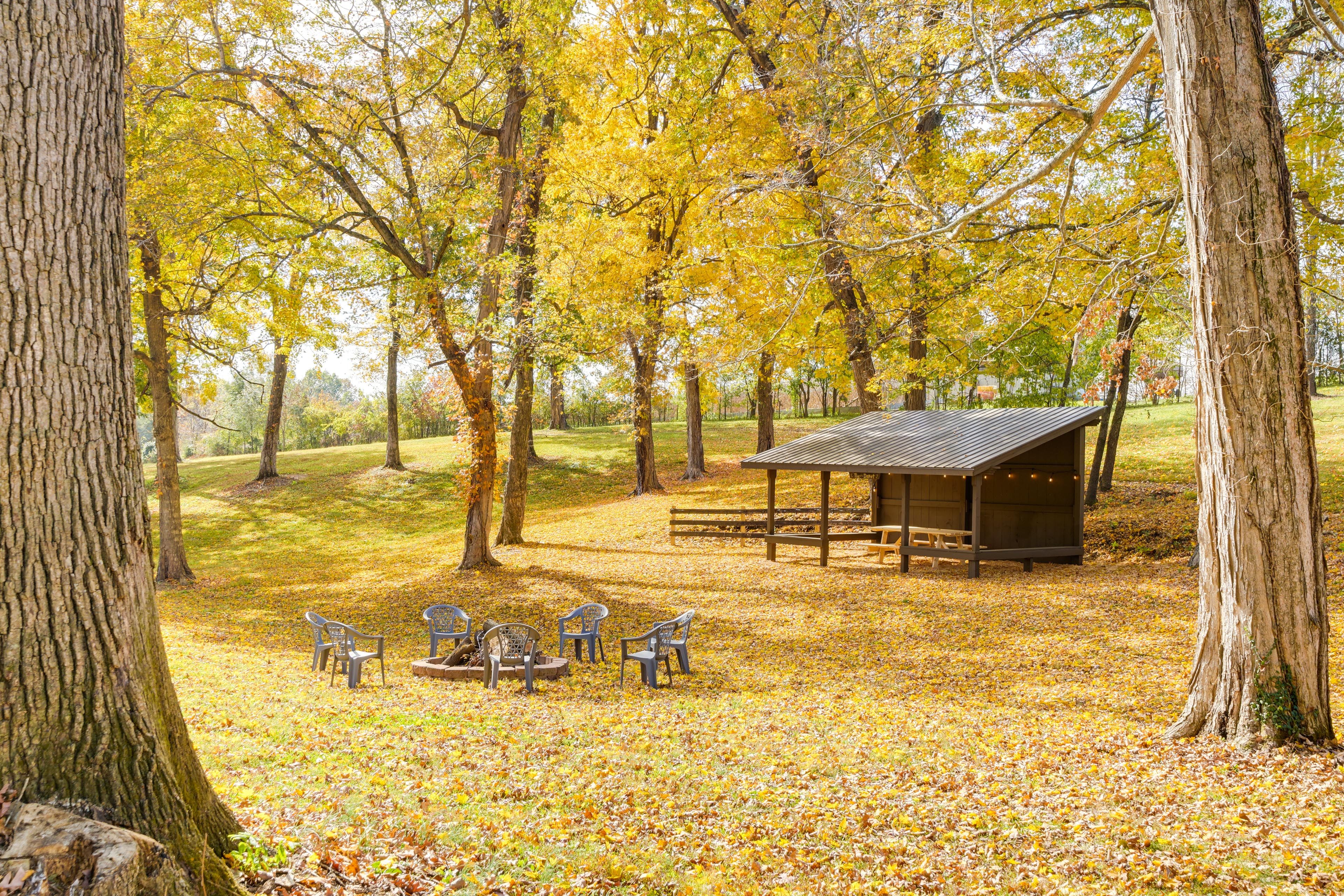 Large Yard | Gazebo Area