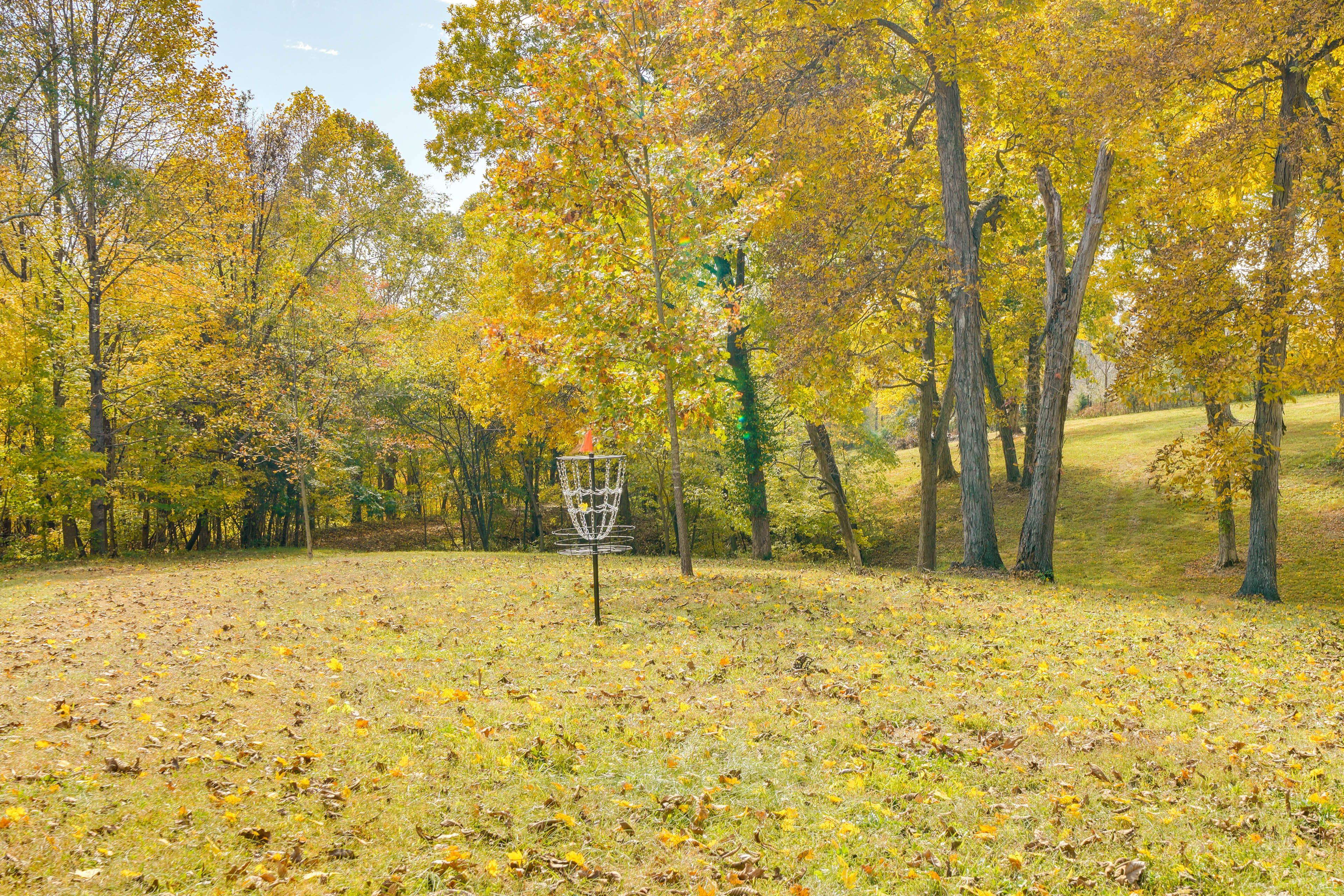 Disc Golf