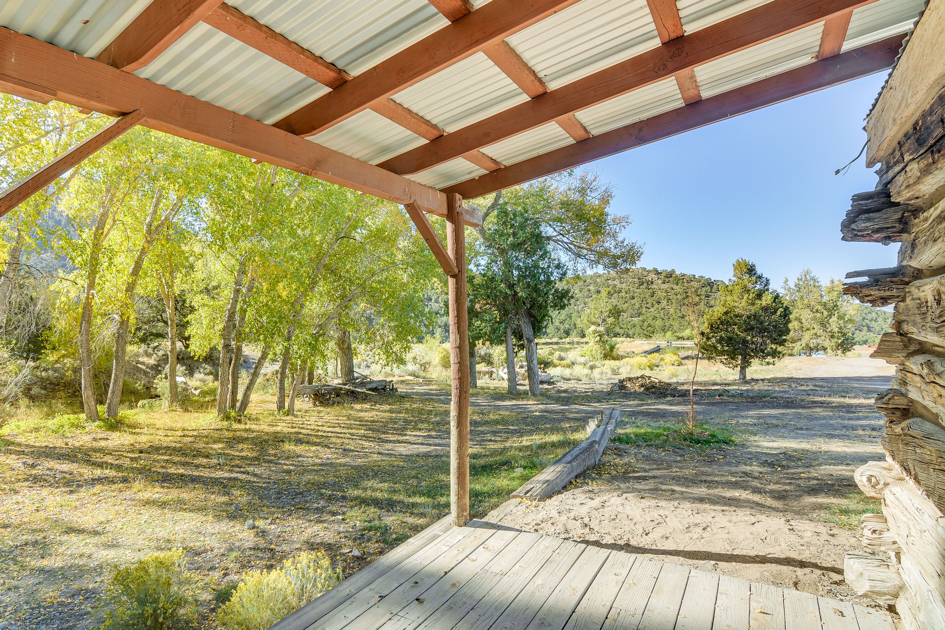 Front Porch | Mountain & Forest Views