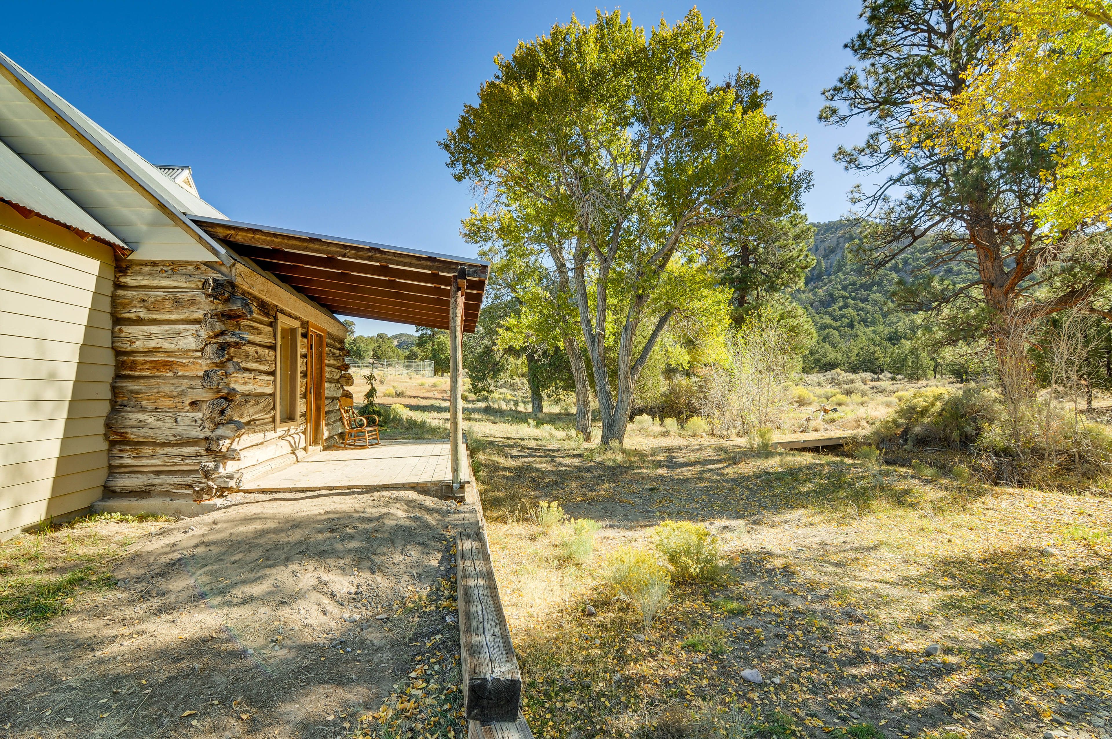 Cabin Exterior