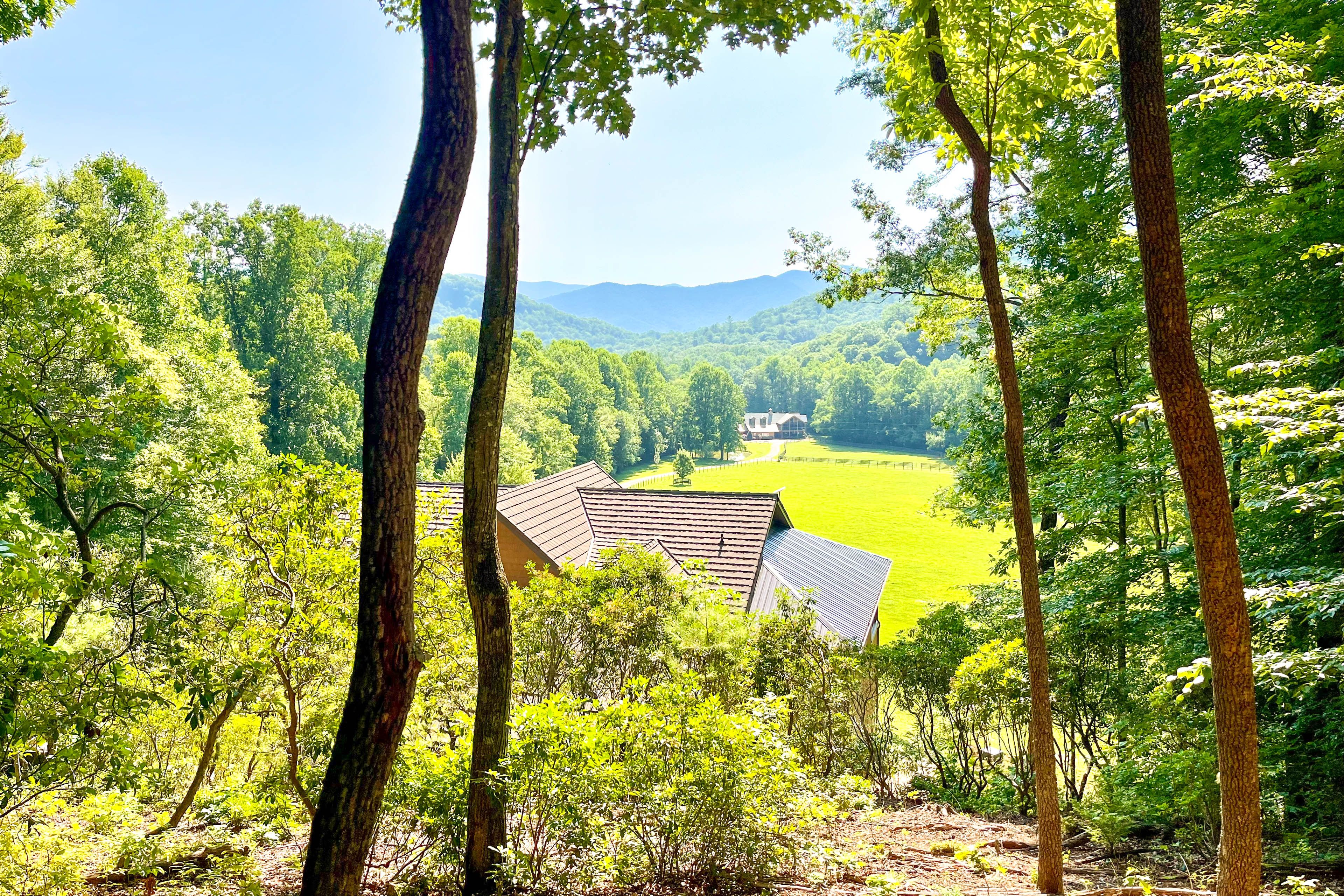 On-Site Views