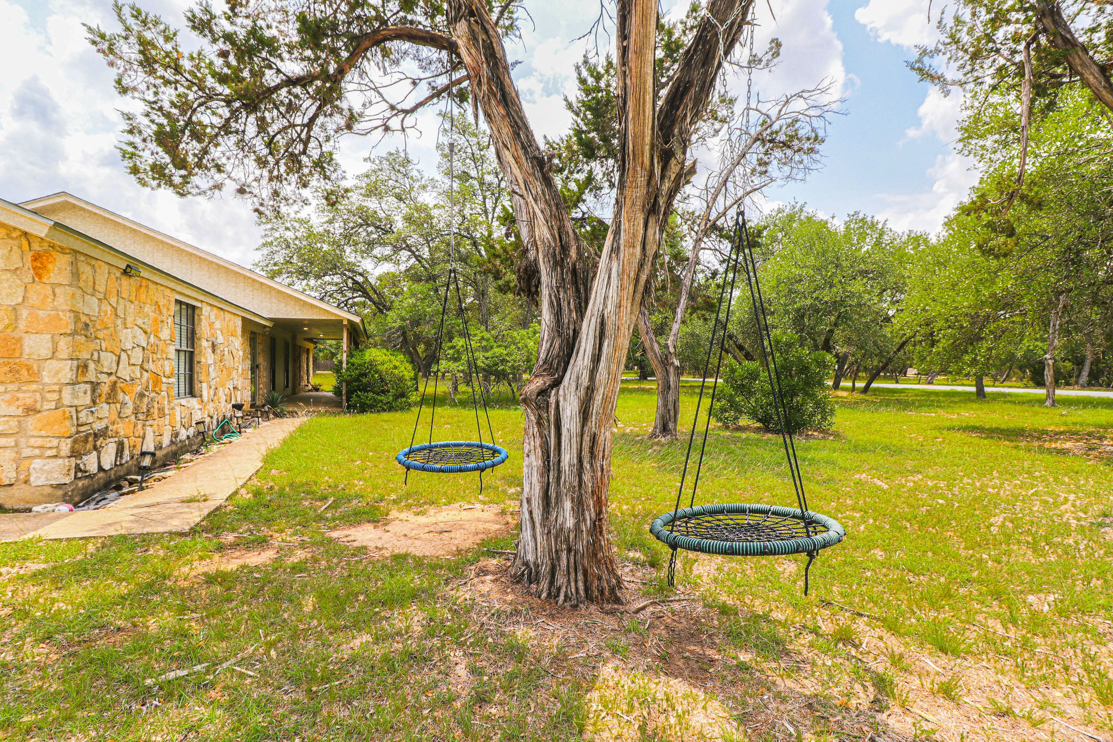 2 Tree Swings