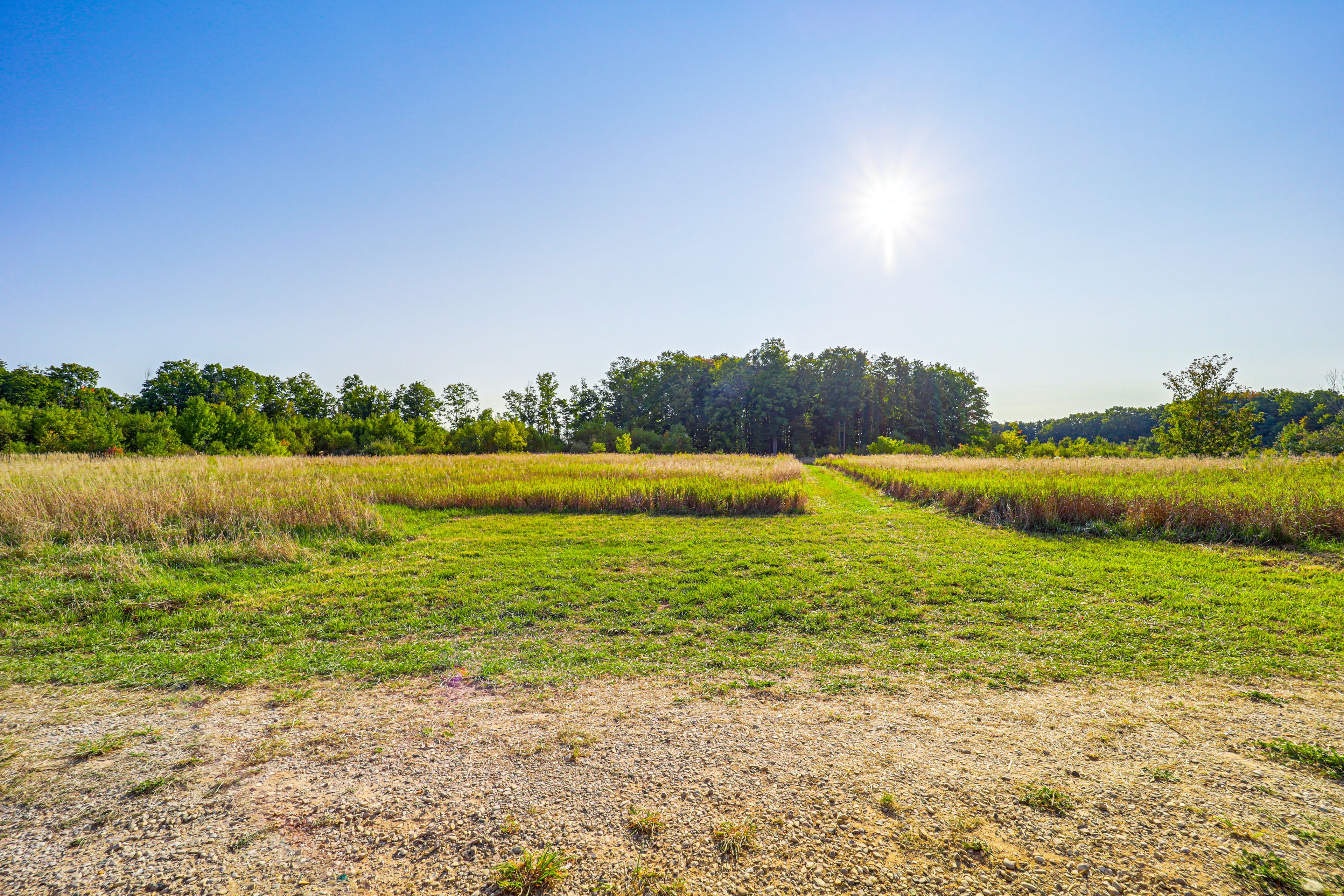 Property Views