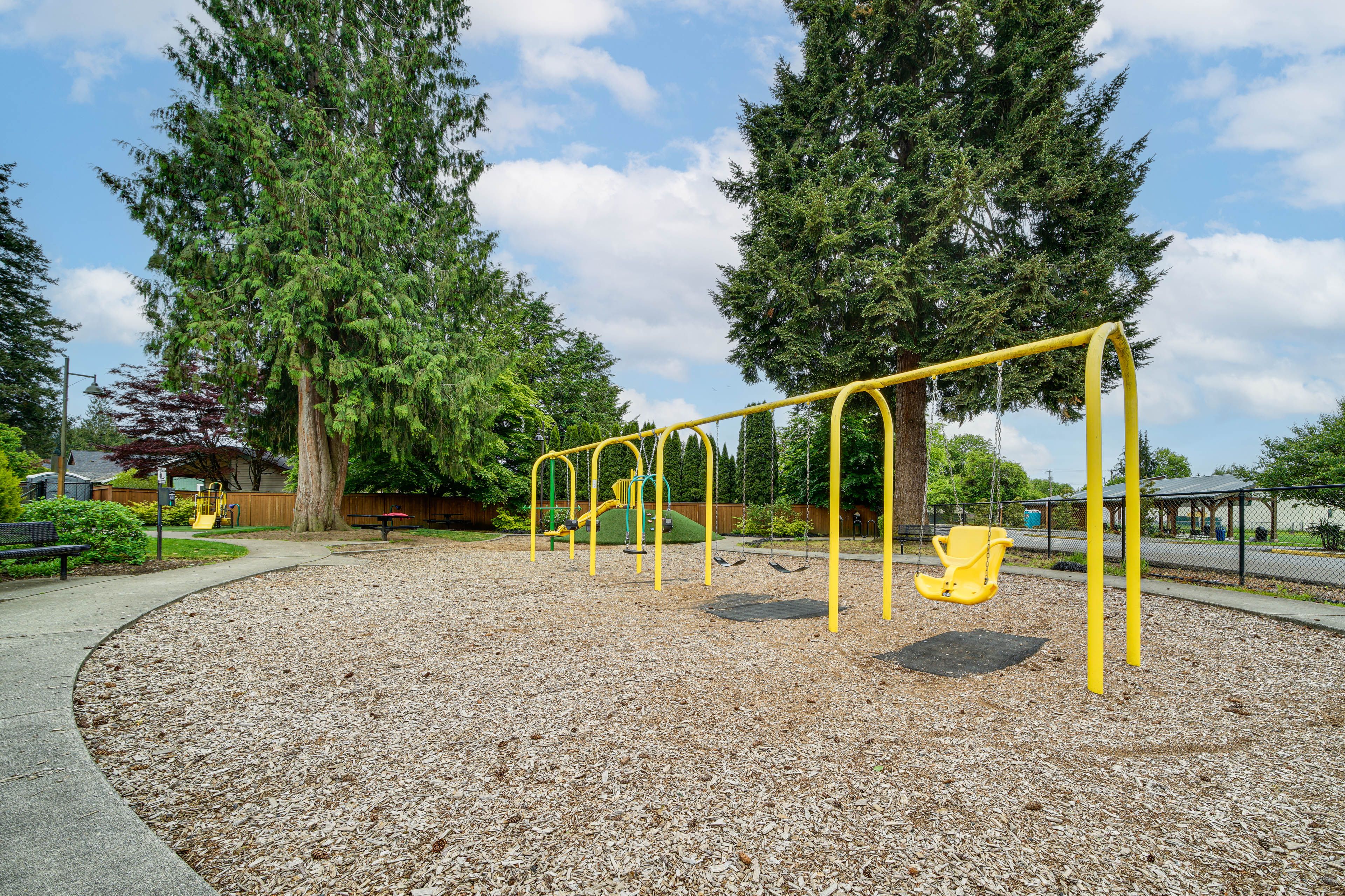 Image 28