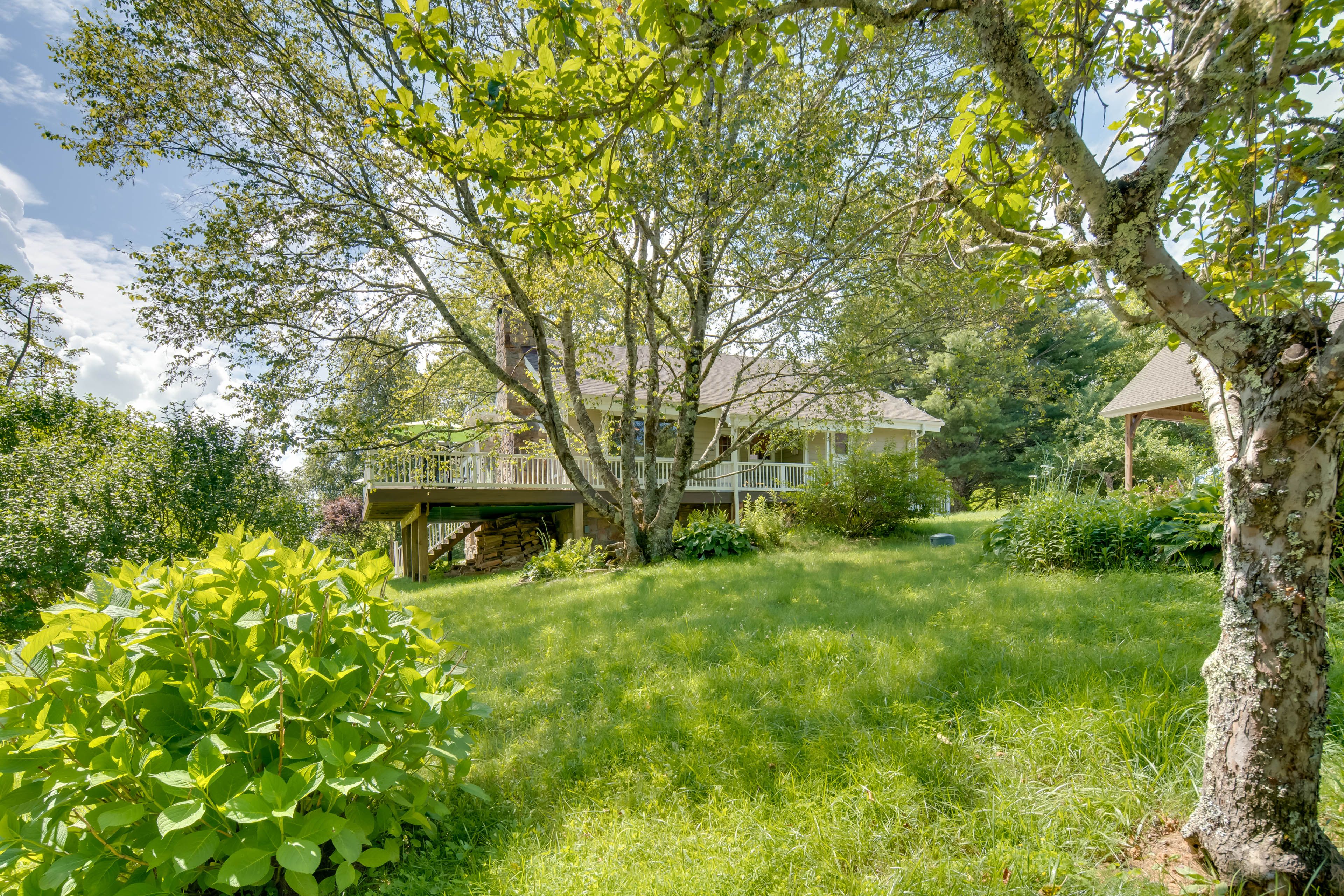 Backyard