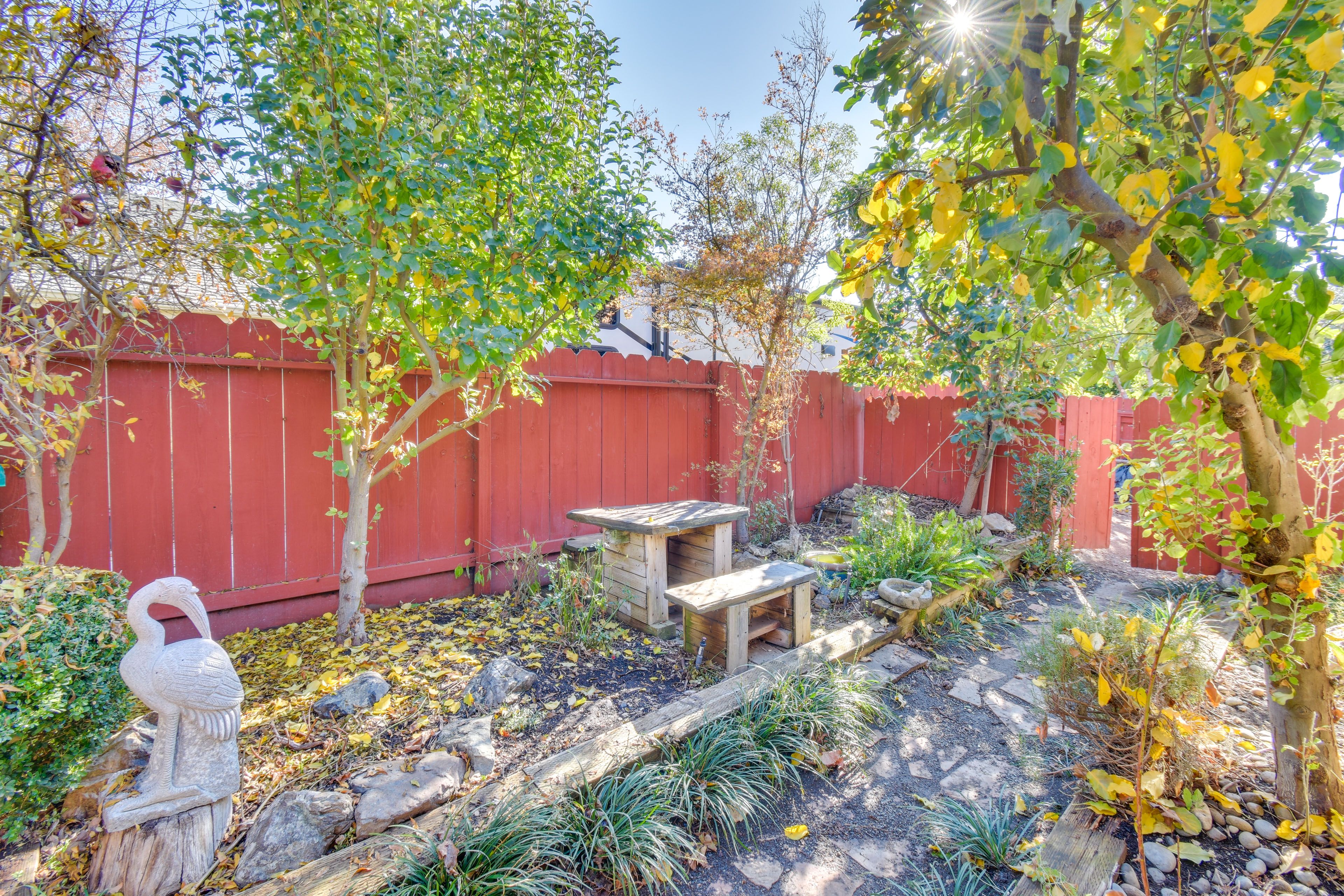 Garden | Fruit Trees | Outdoor Table