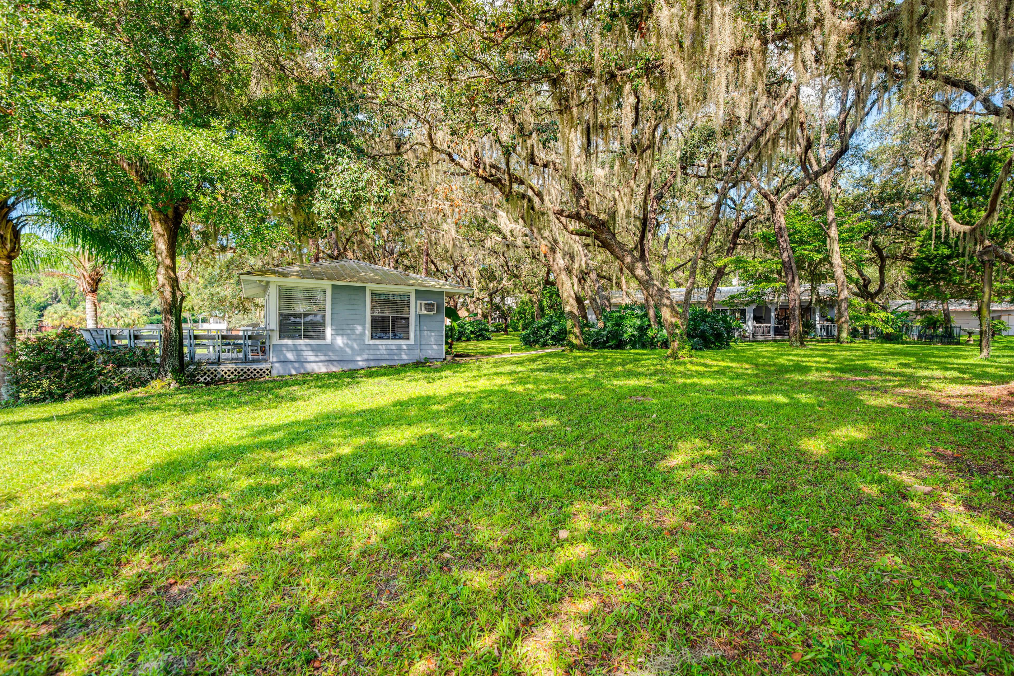 Large Yard