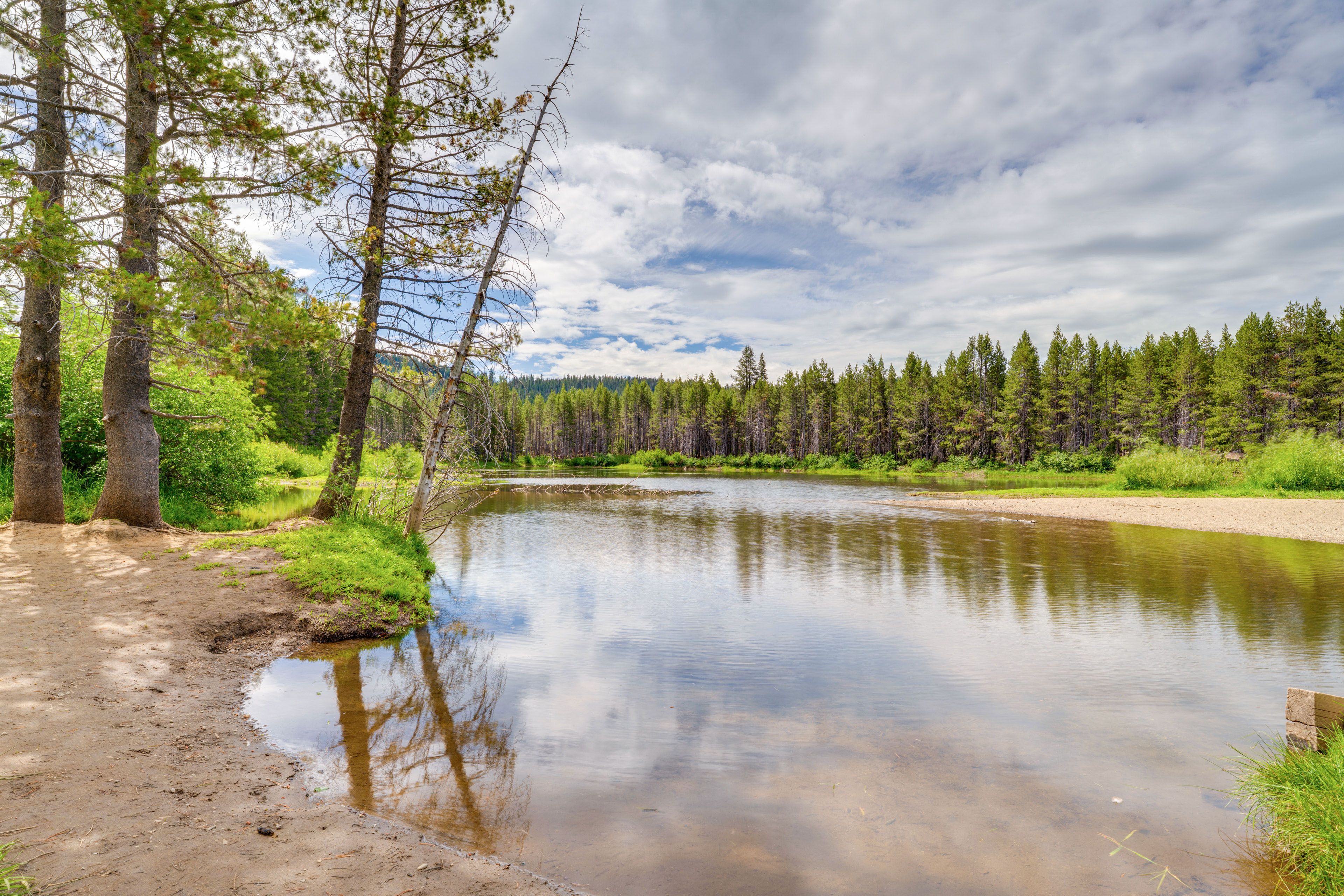 Walk to Yuba River | Beach Area