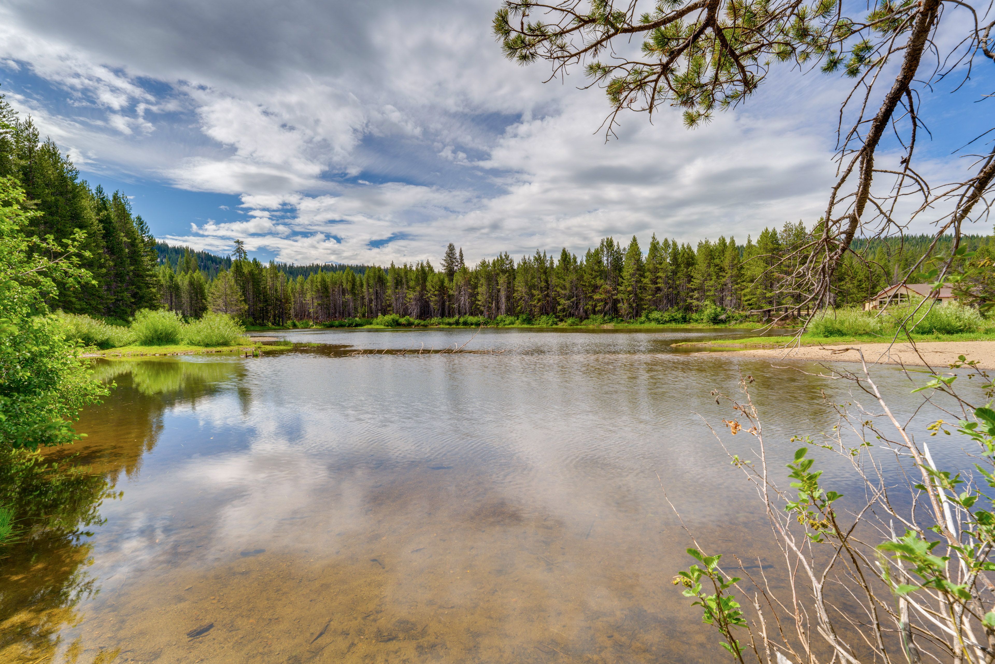 Walk to Yuba River