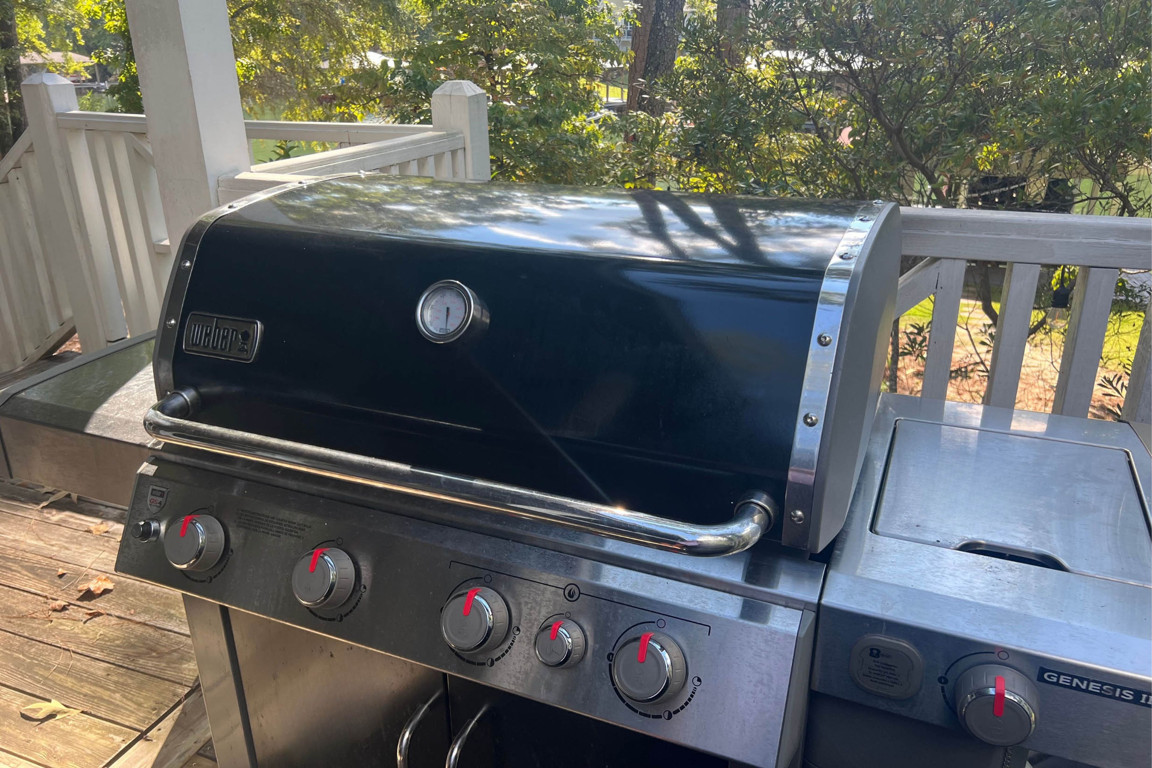 Gas Grill | Big Green Egg Grill