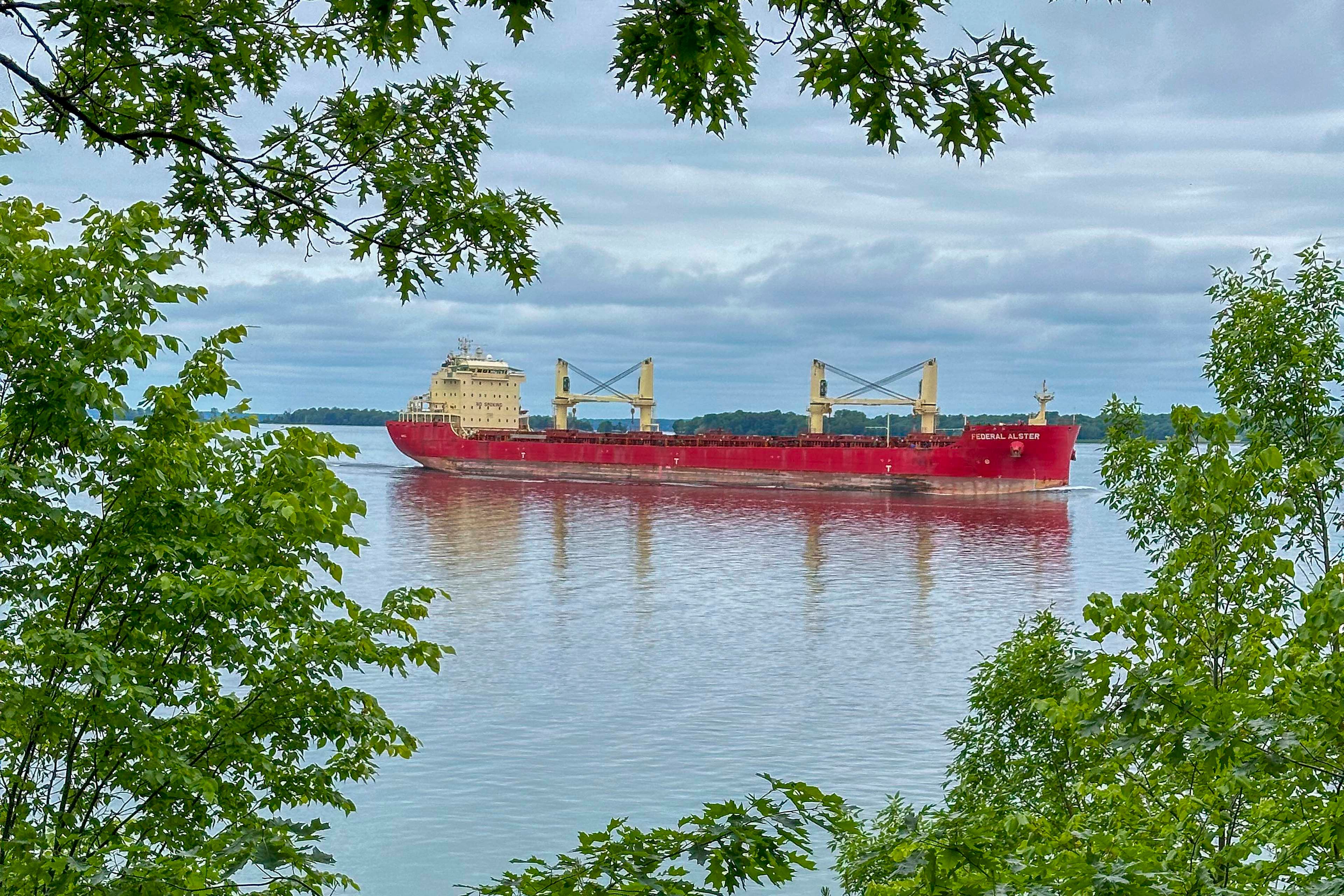 Clayton Vacation Rental | Studio | 1BA | Steps to Access | 1,098 Sq Ft