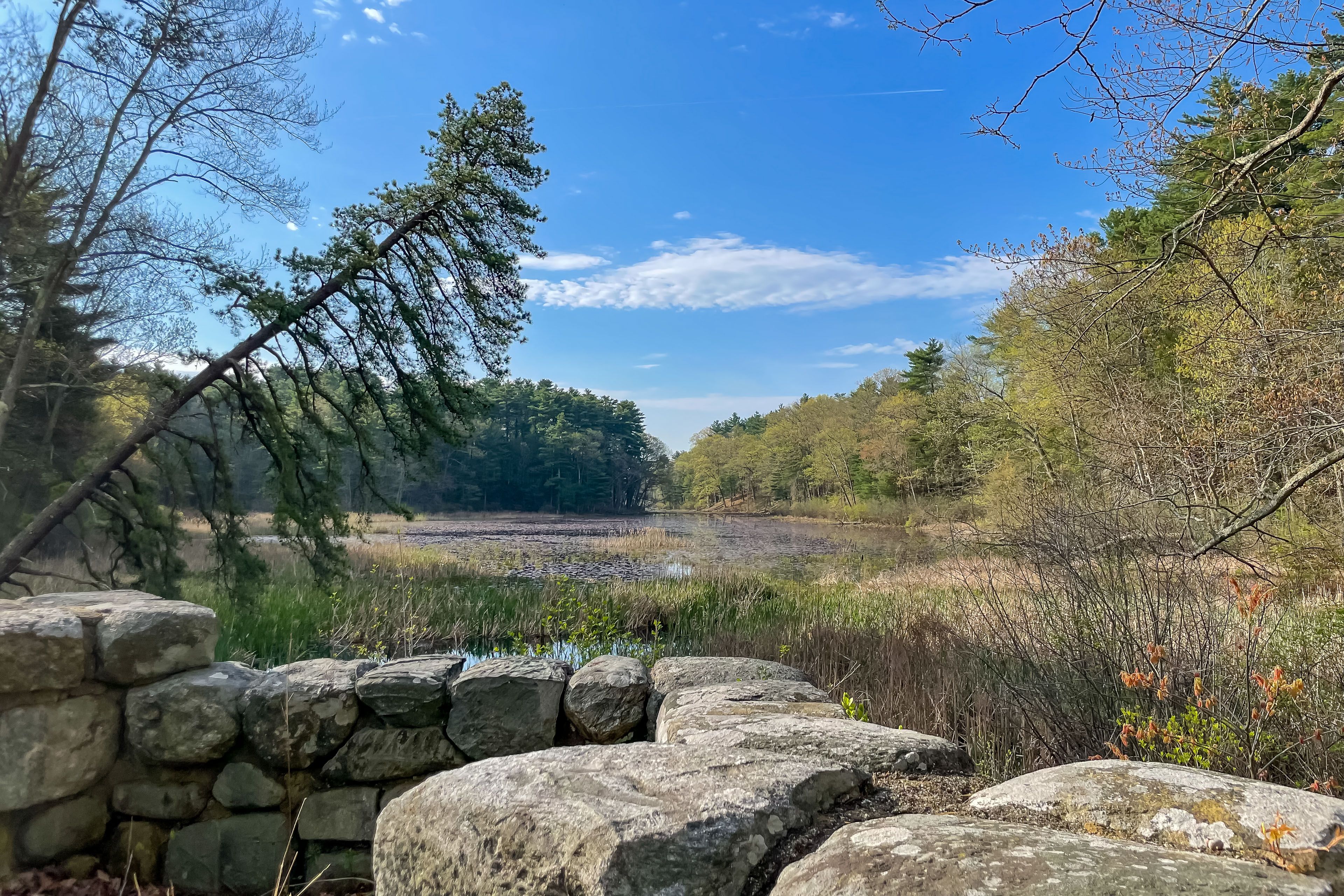 Nearby | Stone Bridge Down the Street