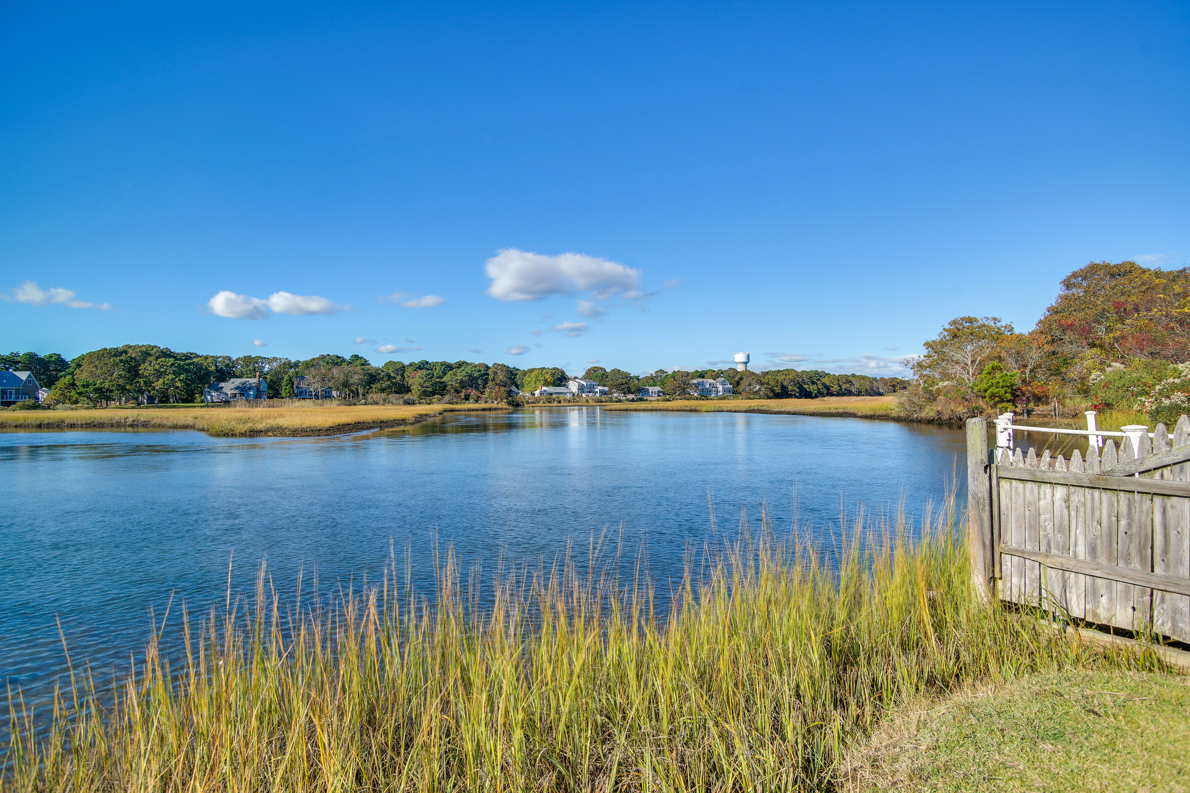 Walk to Pond