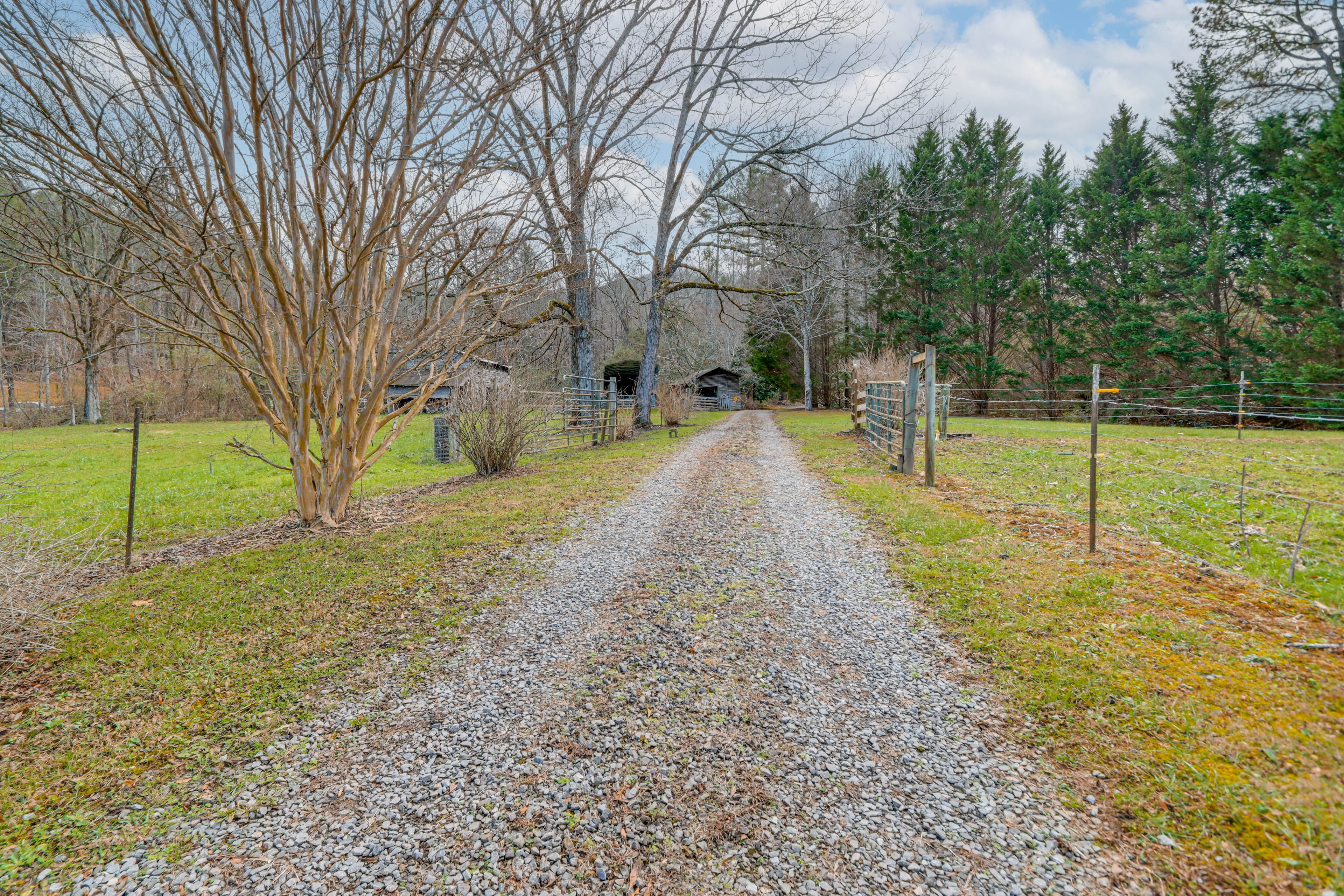 Parking | Gravel Driveway (5 Vehicles)