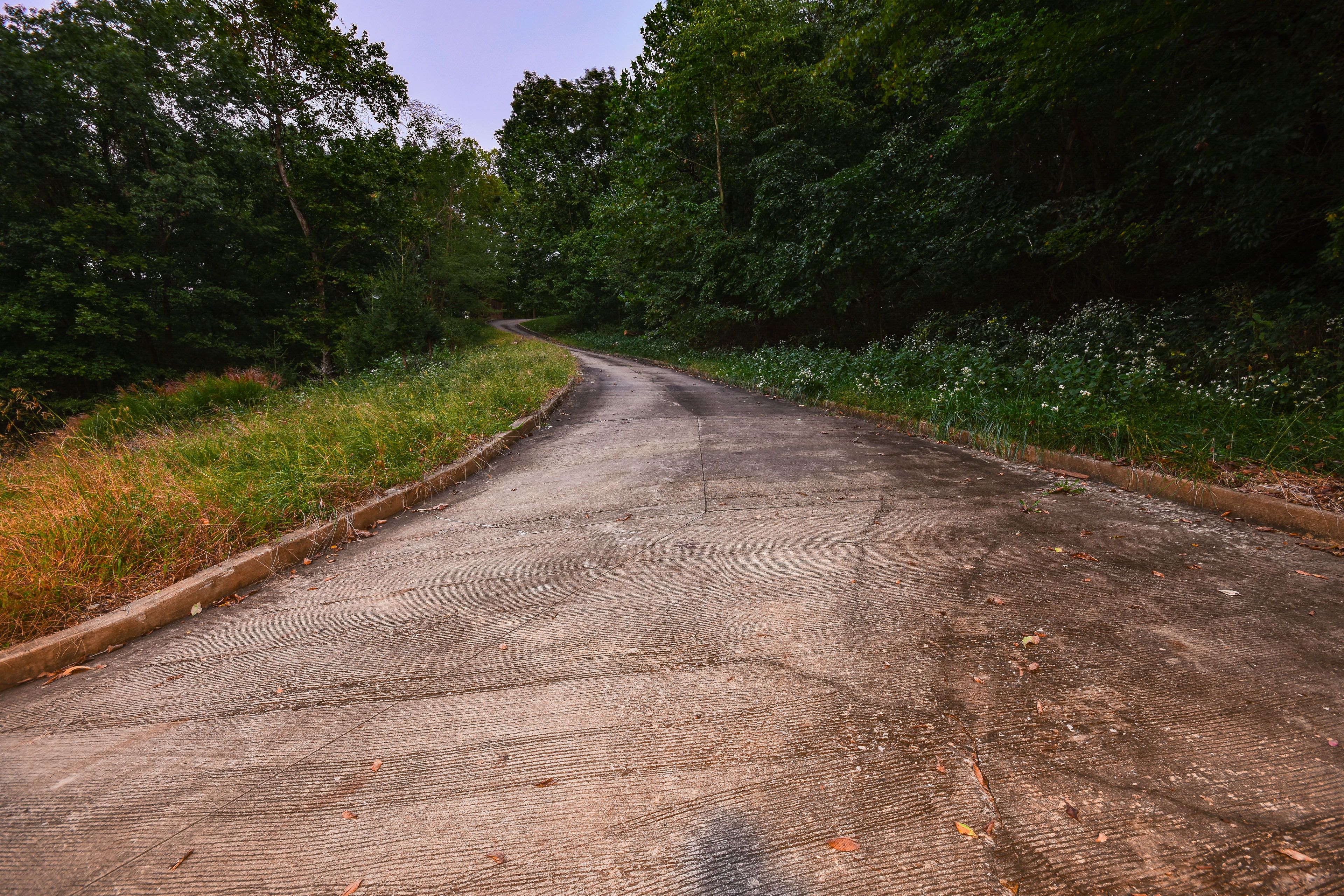 Parking | Shared Driveway (1 Vehicle)