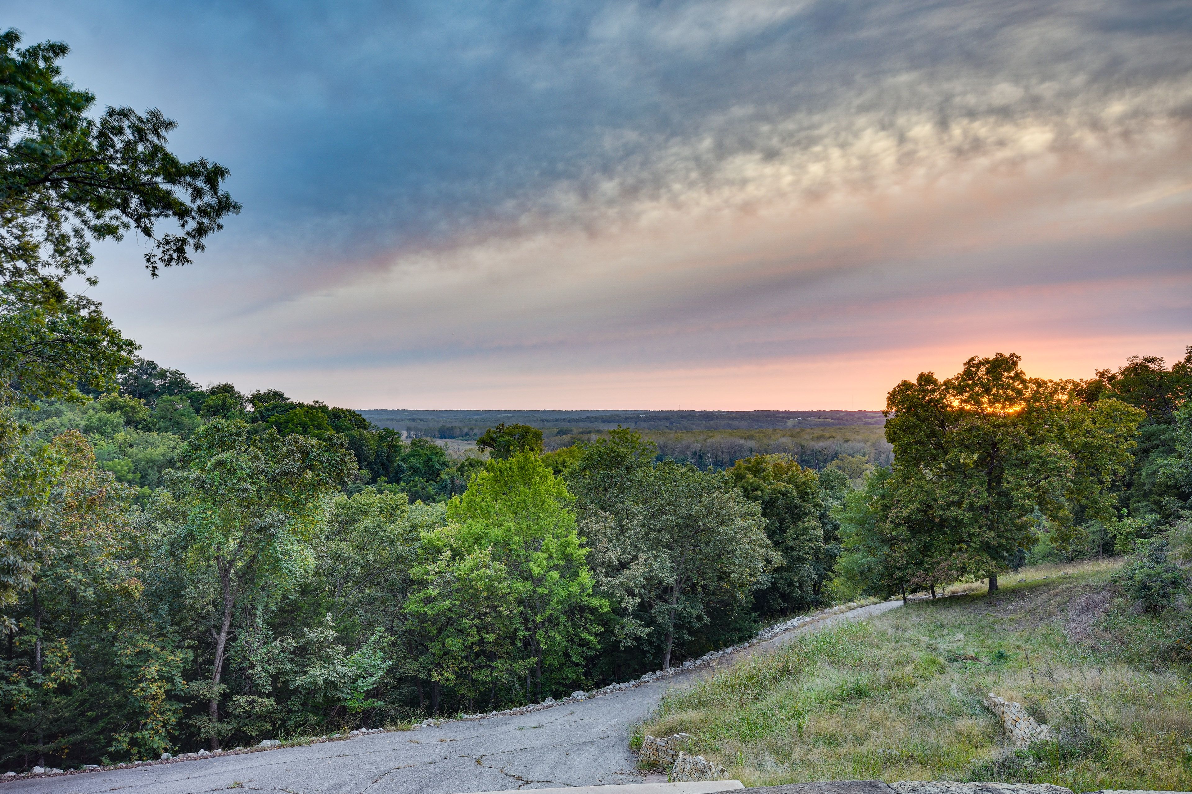 Forest Views
