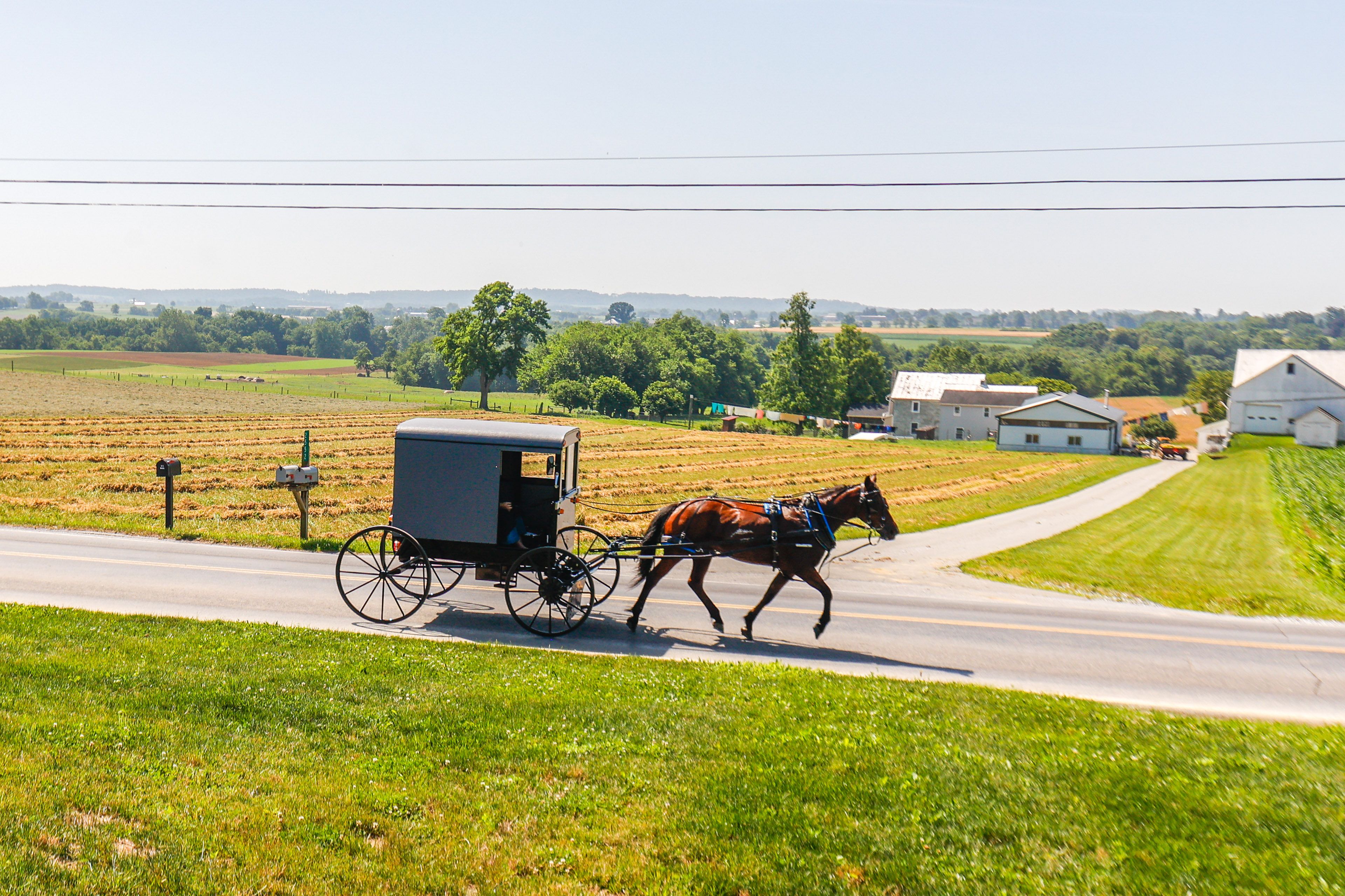 Amish Country Views