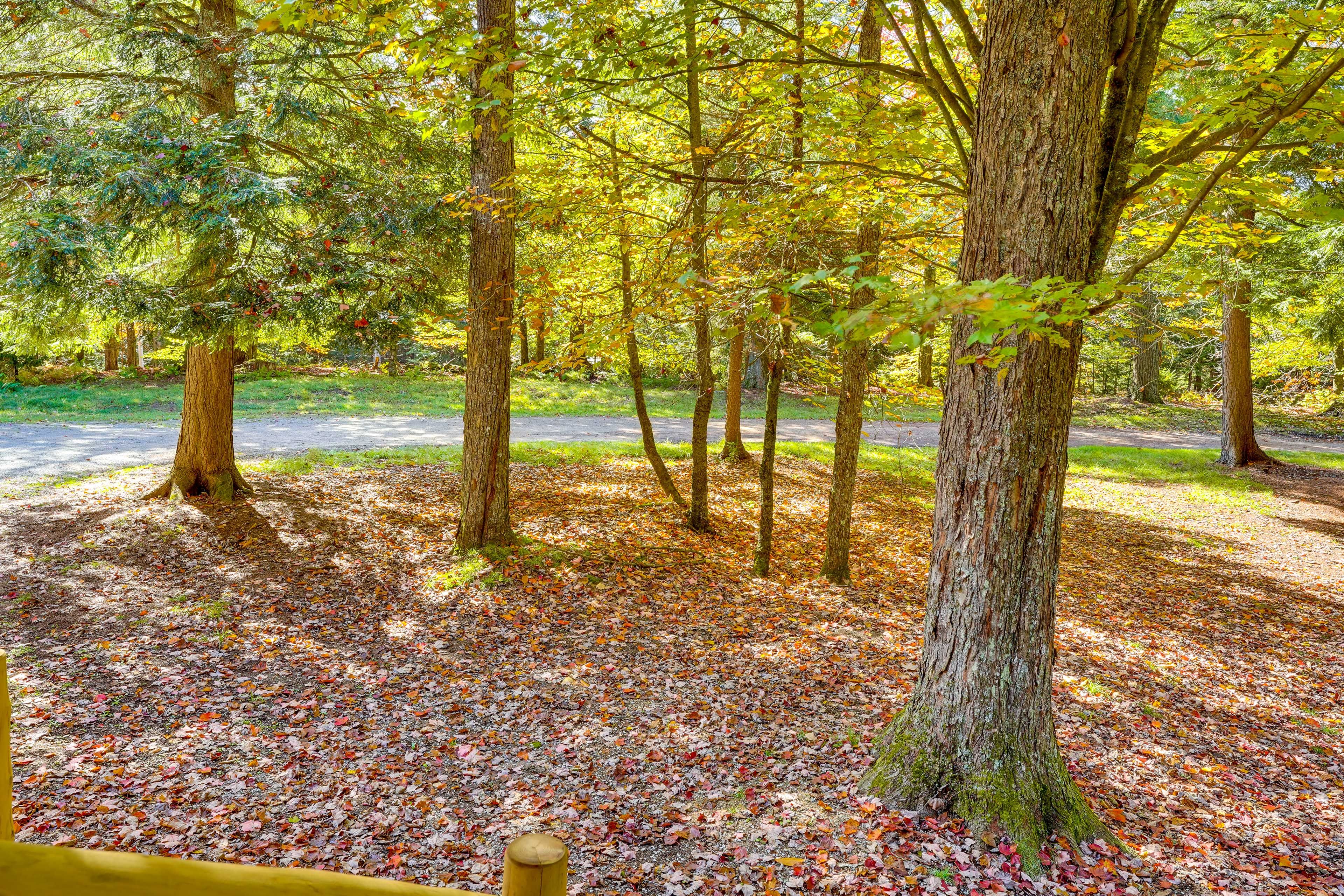 Front Yard