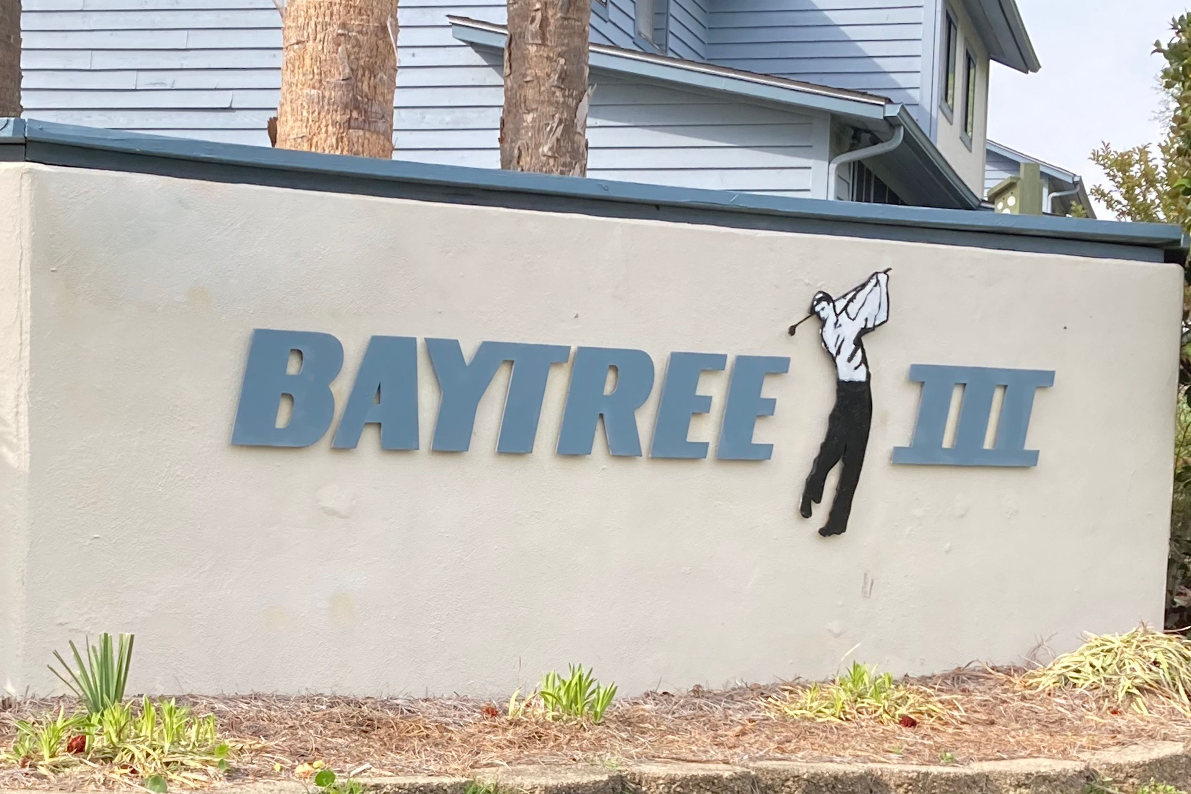 Bay Tree III