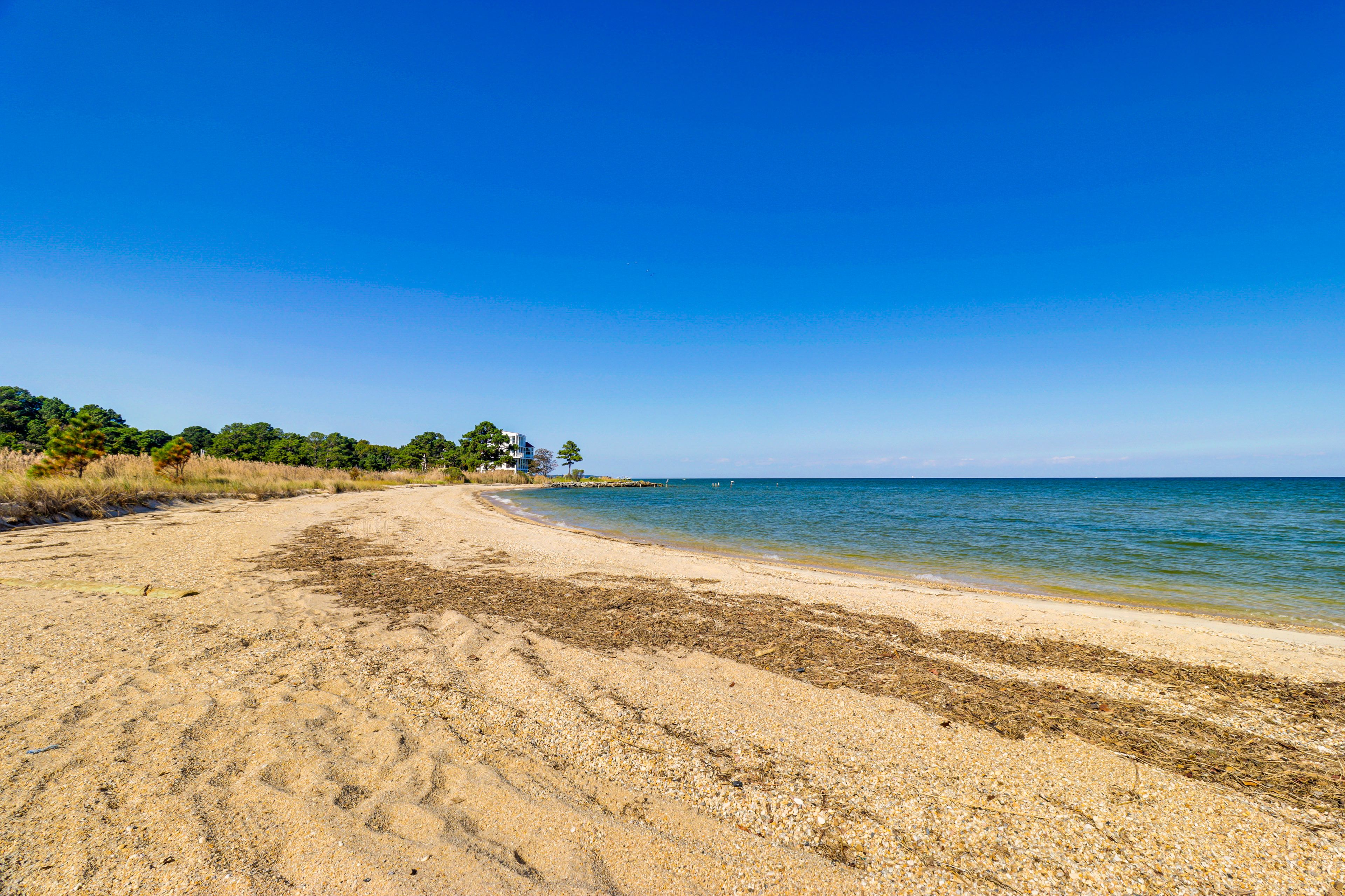 Neighborhood Beach | Walkable Location