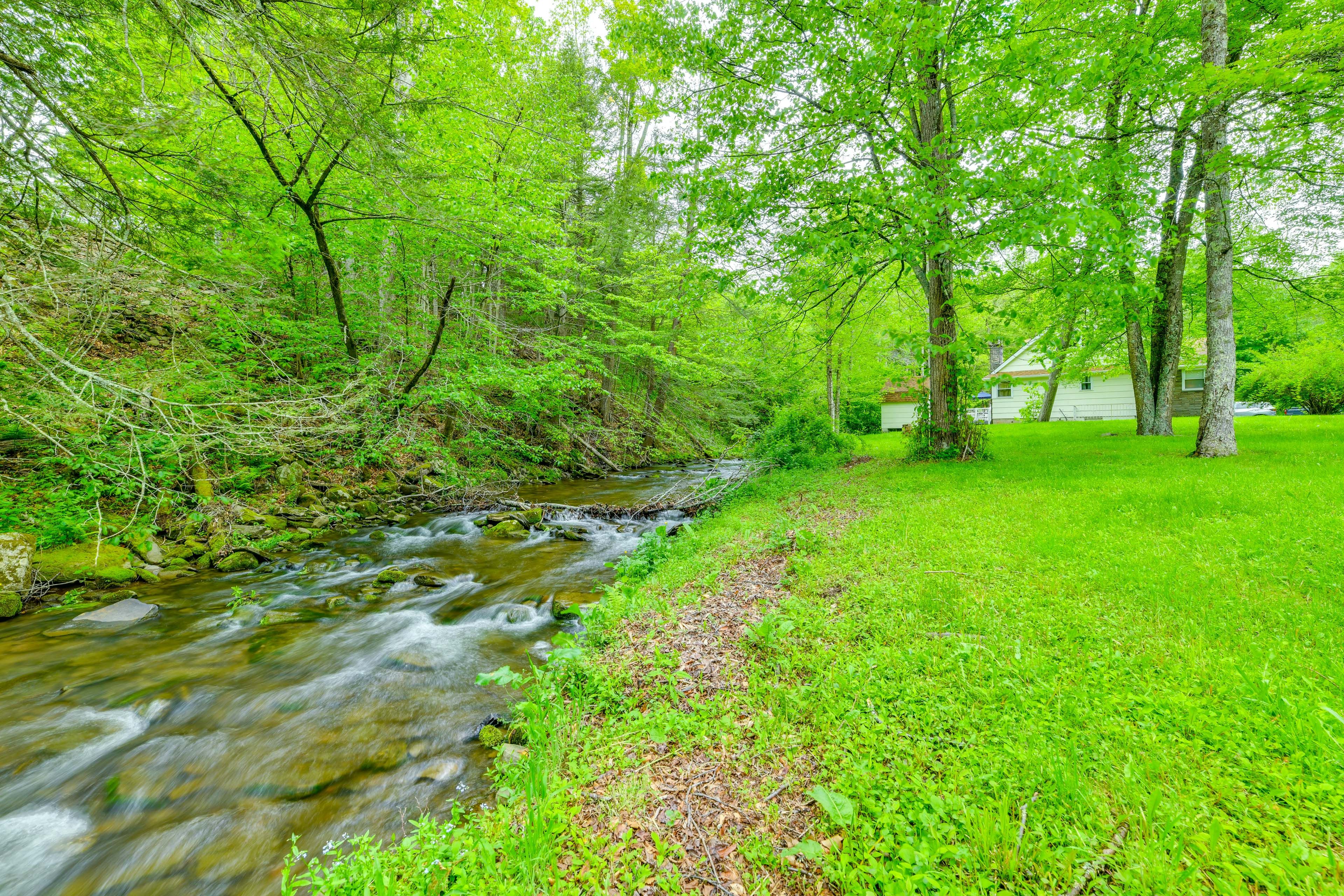 Shared Yard & Brook Access