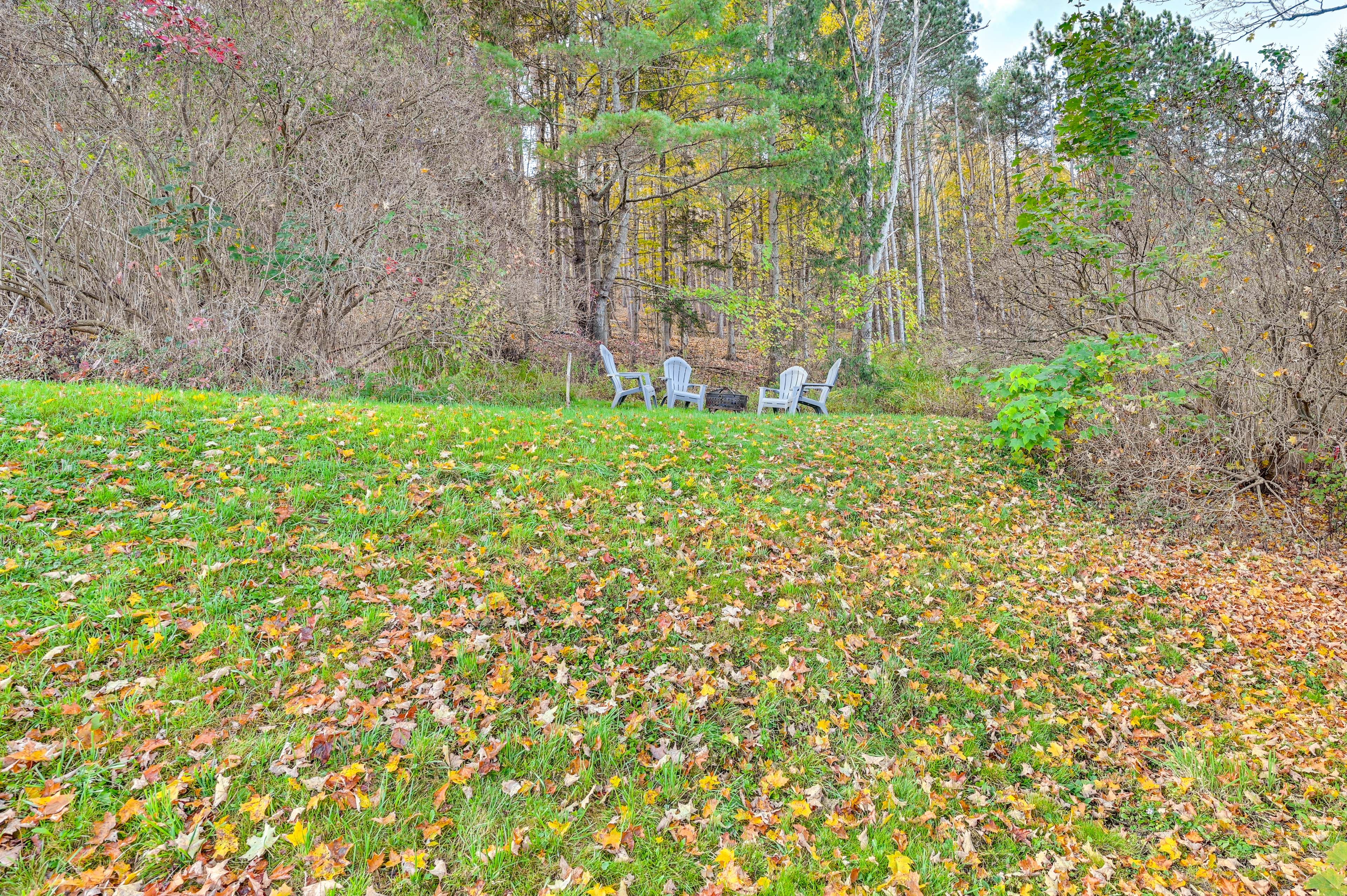 Backyard | Fire Pit
