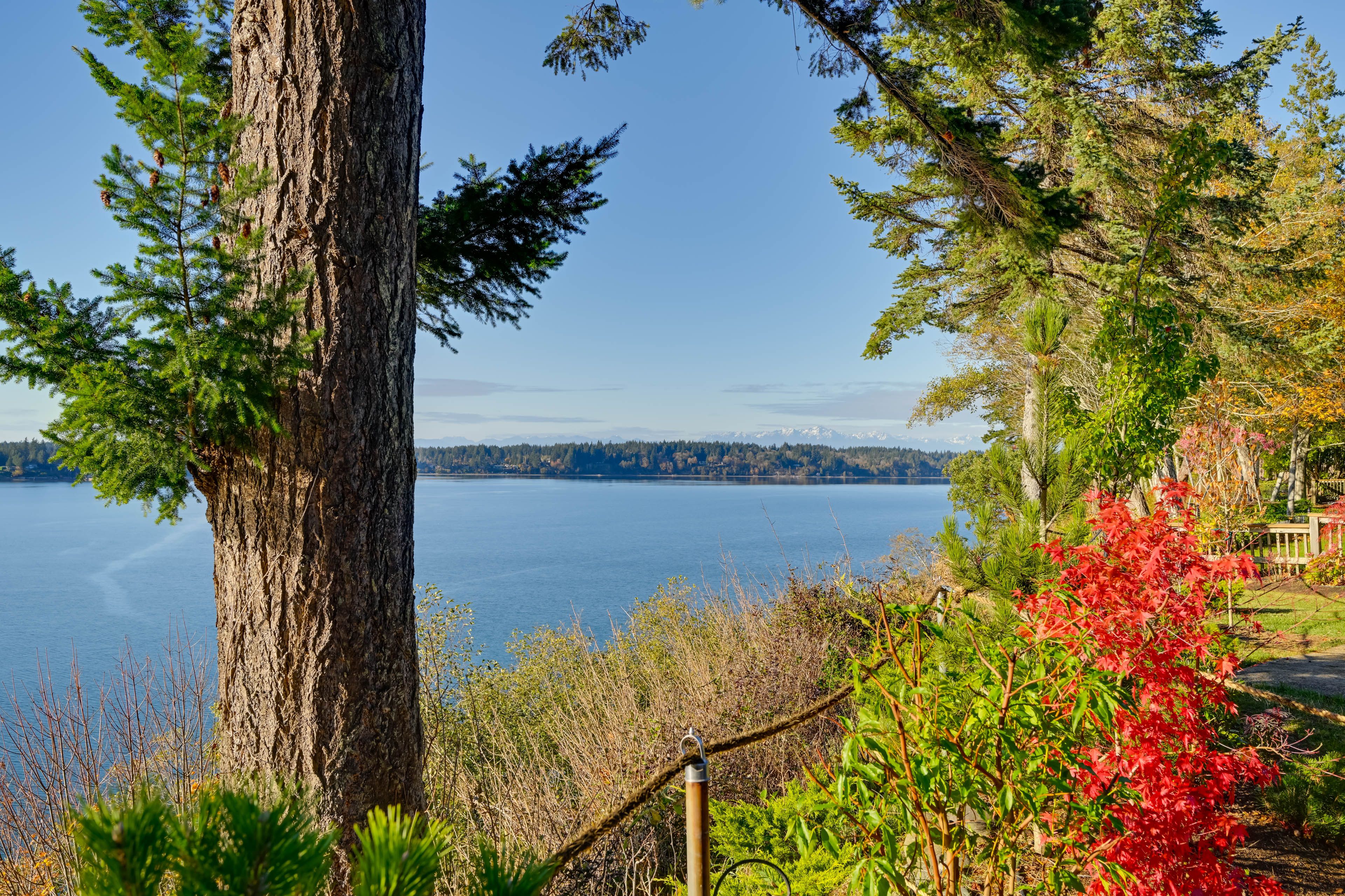 Water Views