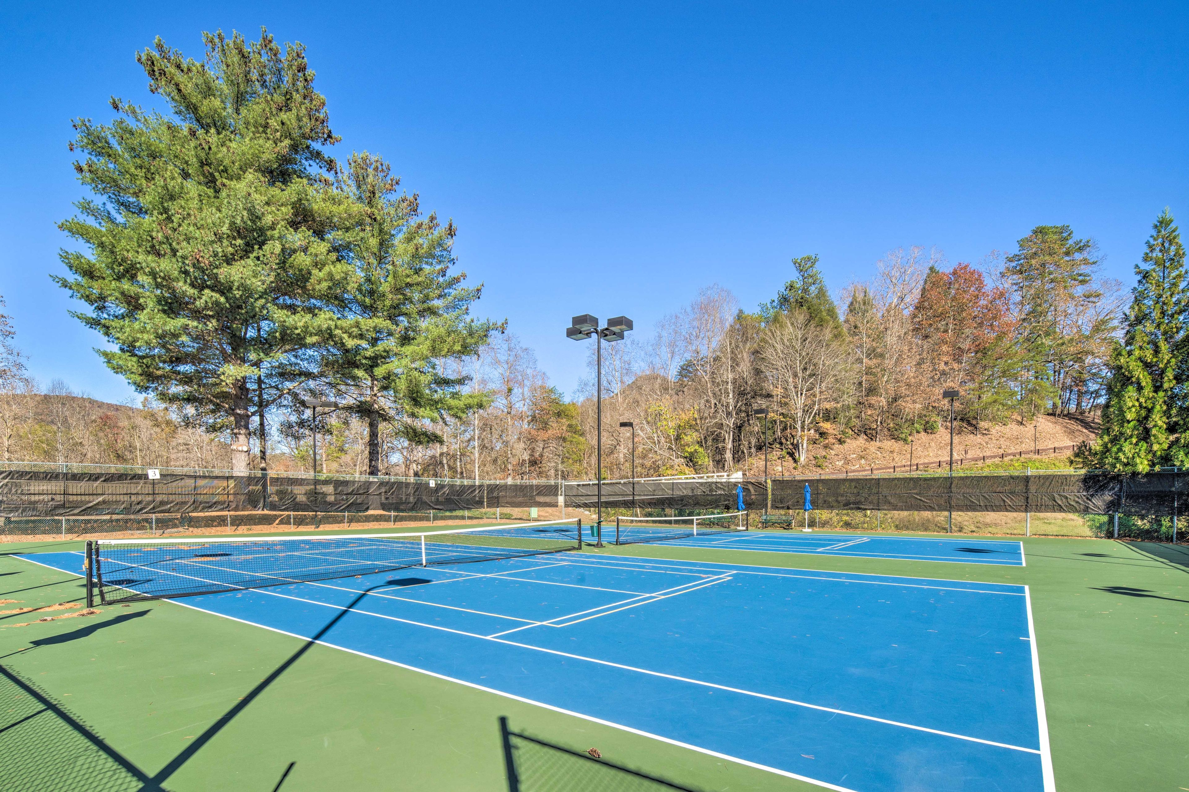 Community Pickleball Courts
