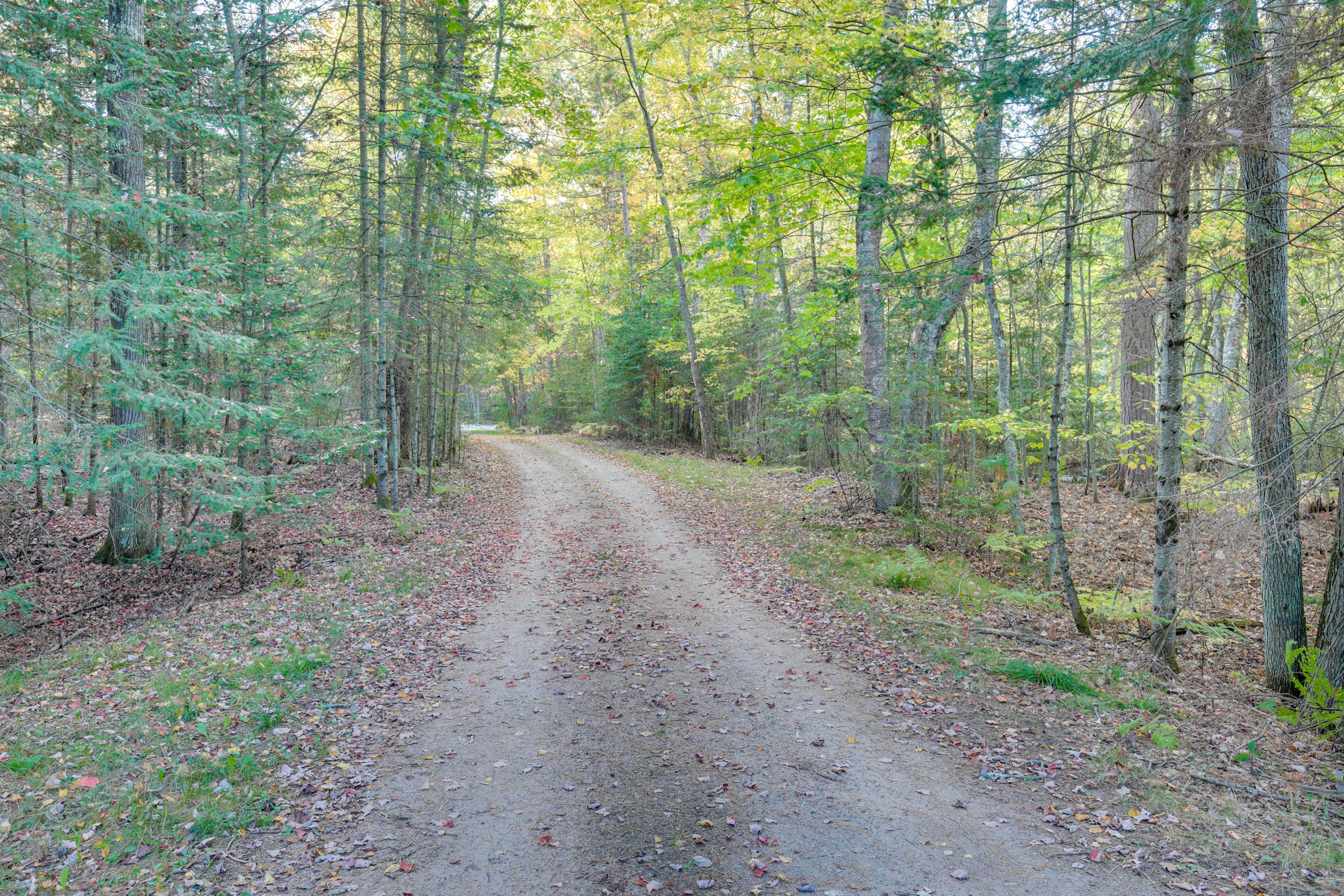 Property Surroundings