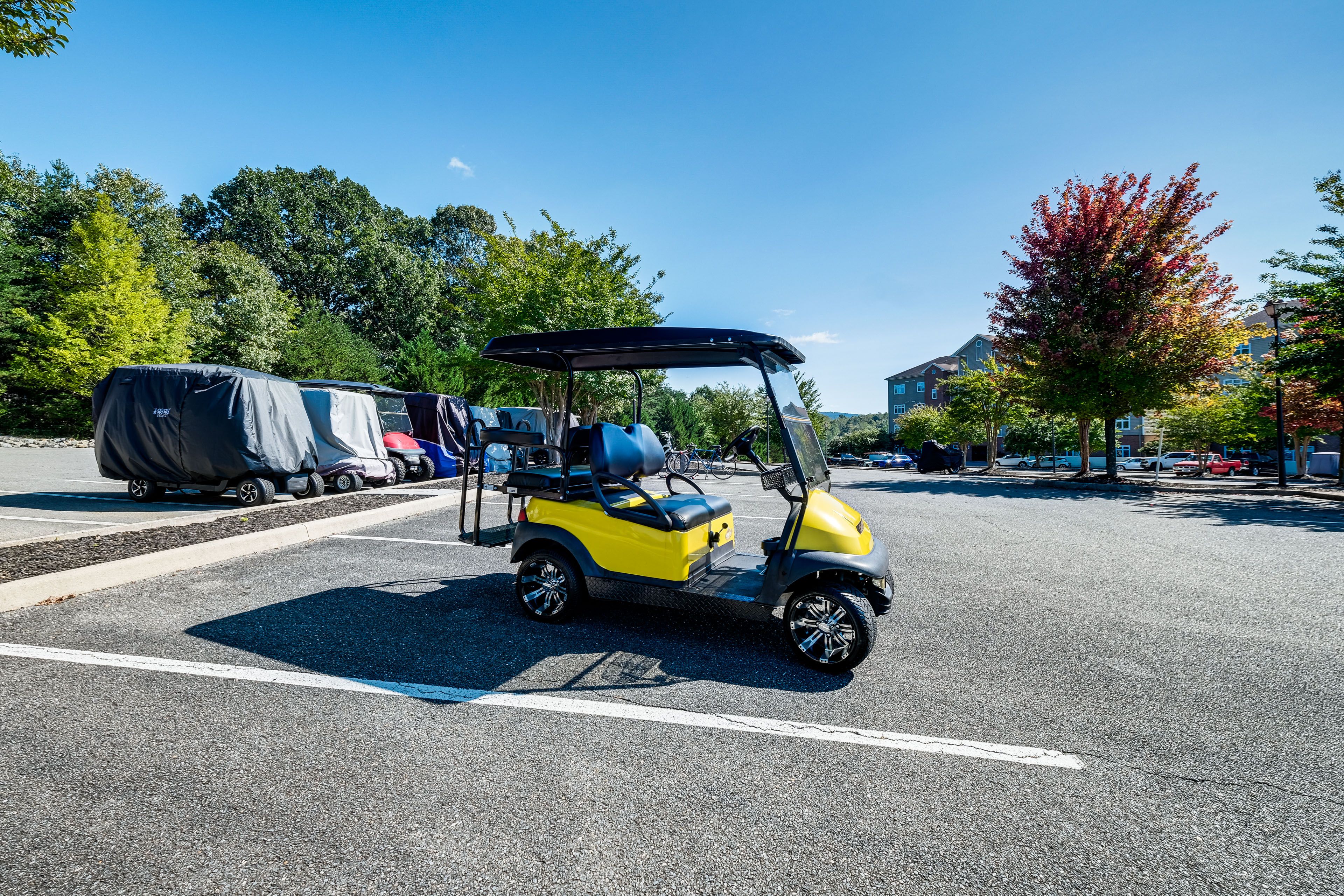 Complimentary Golf Cart