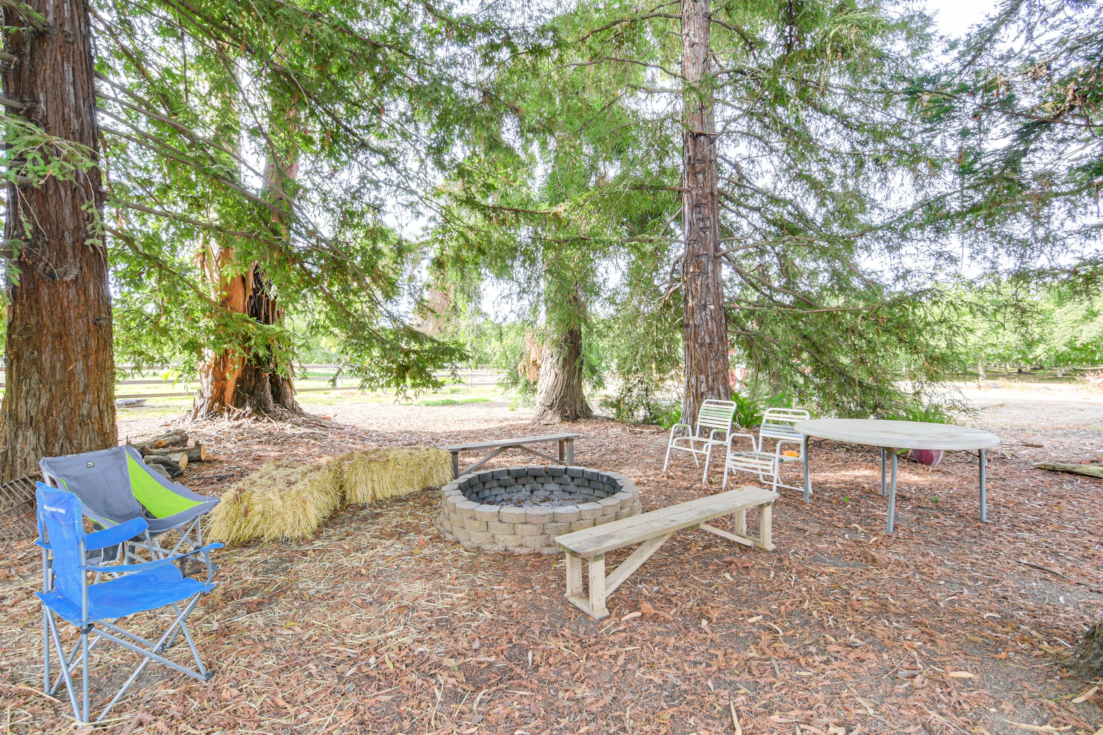 Fire Pit
