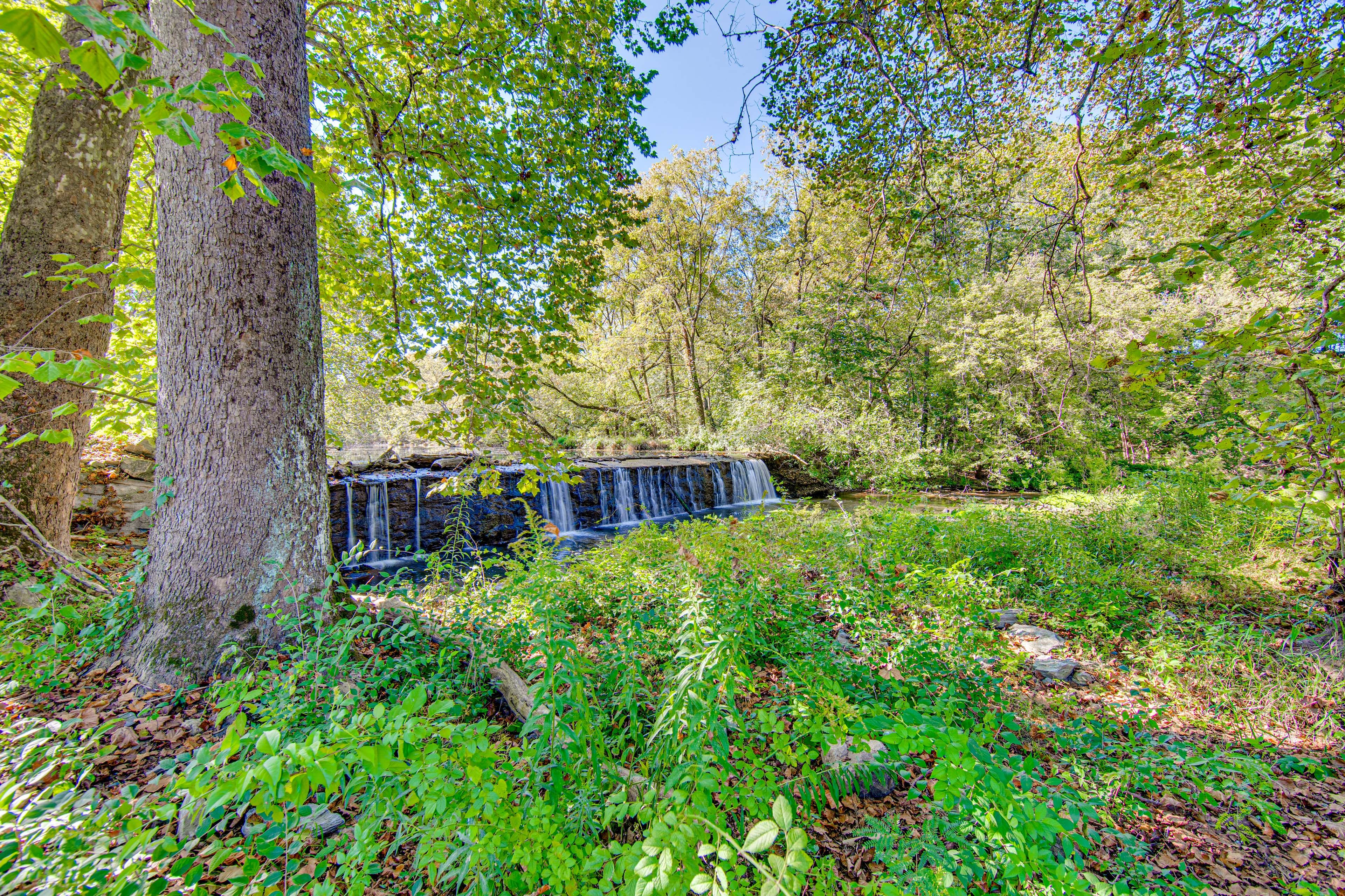 Nearby Waterfall