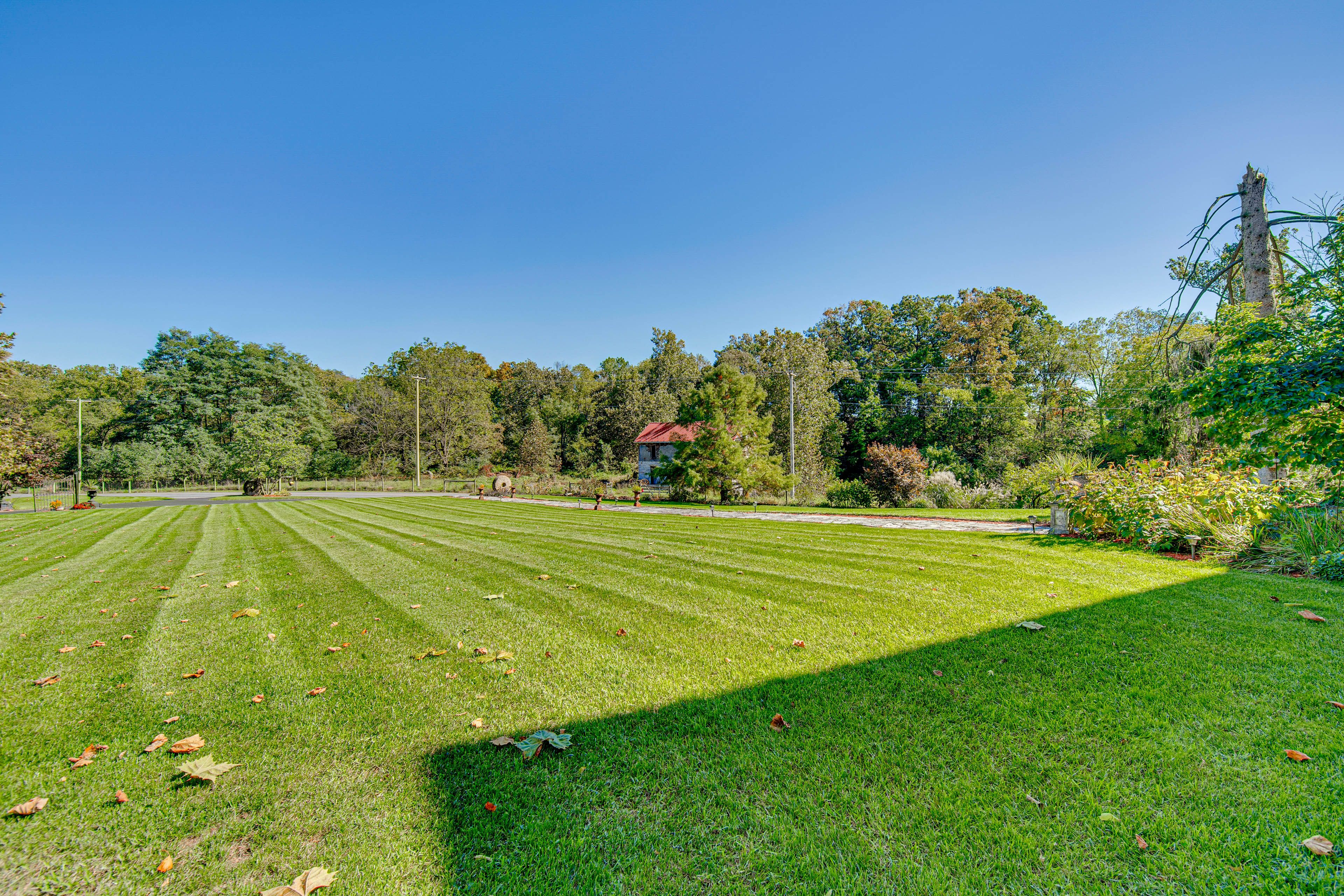 Front Yard