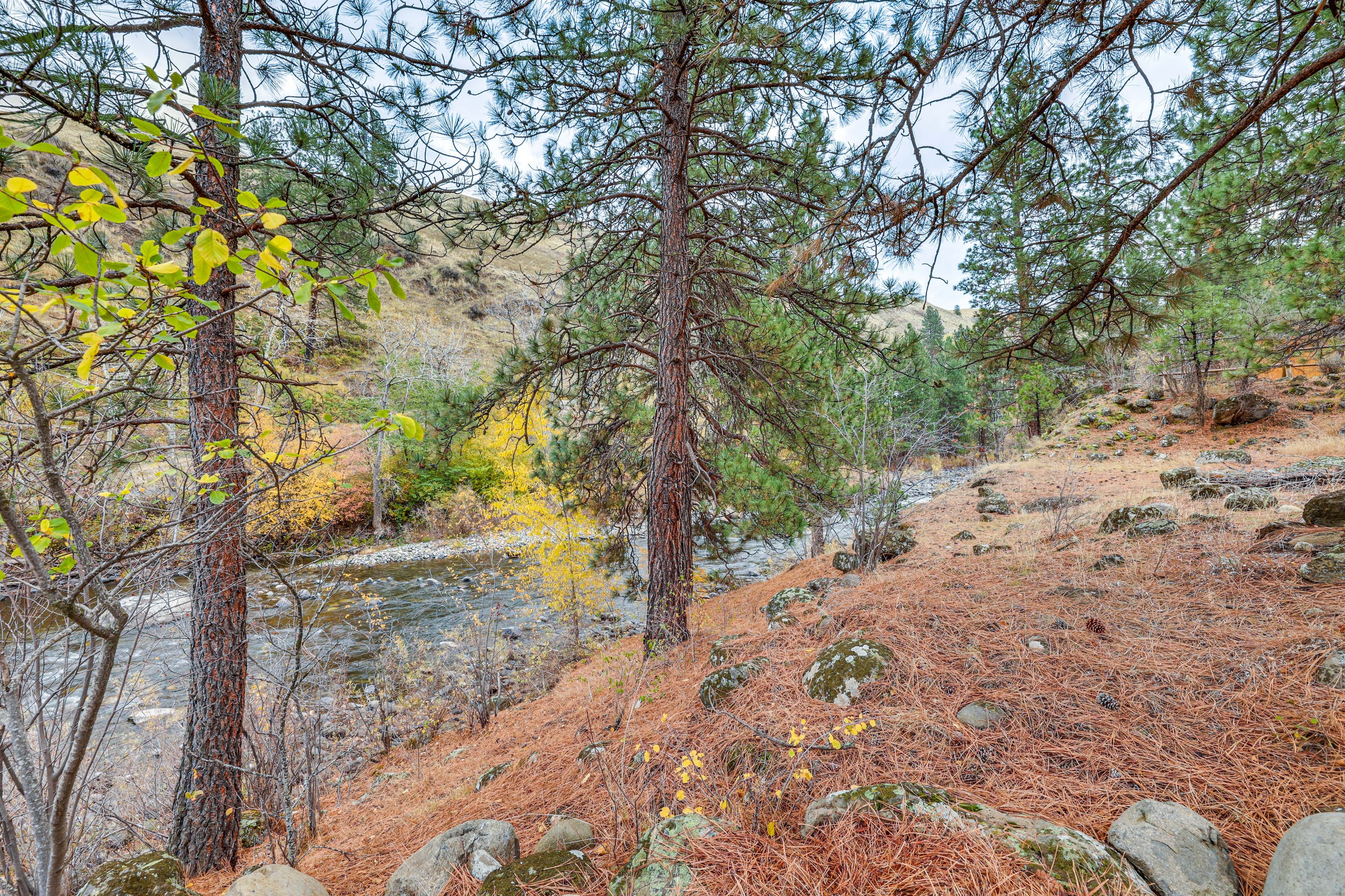 On-Site Access to Little Salmon River