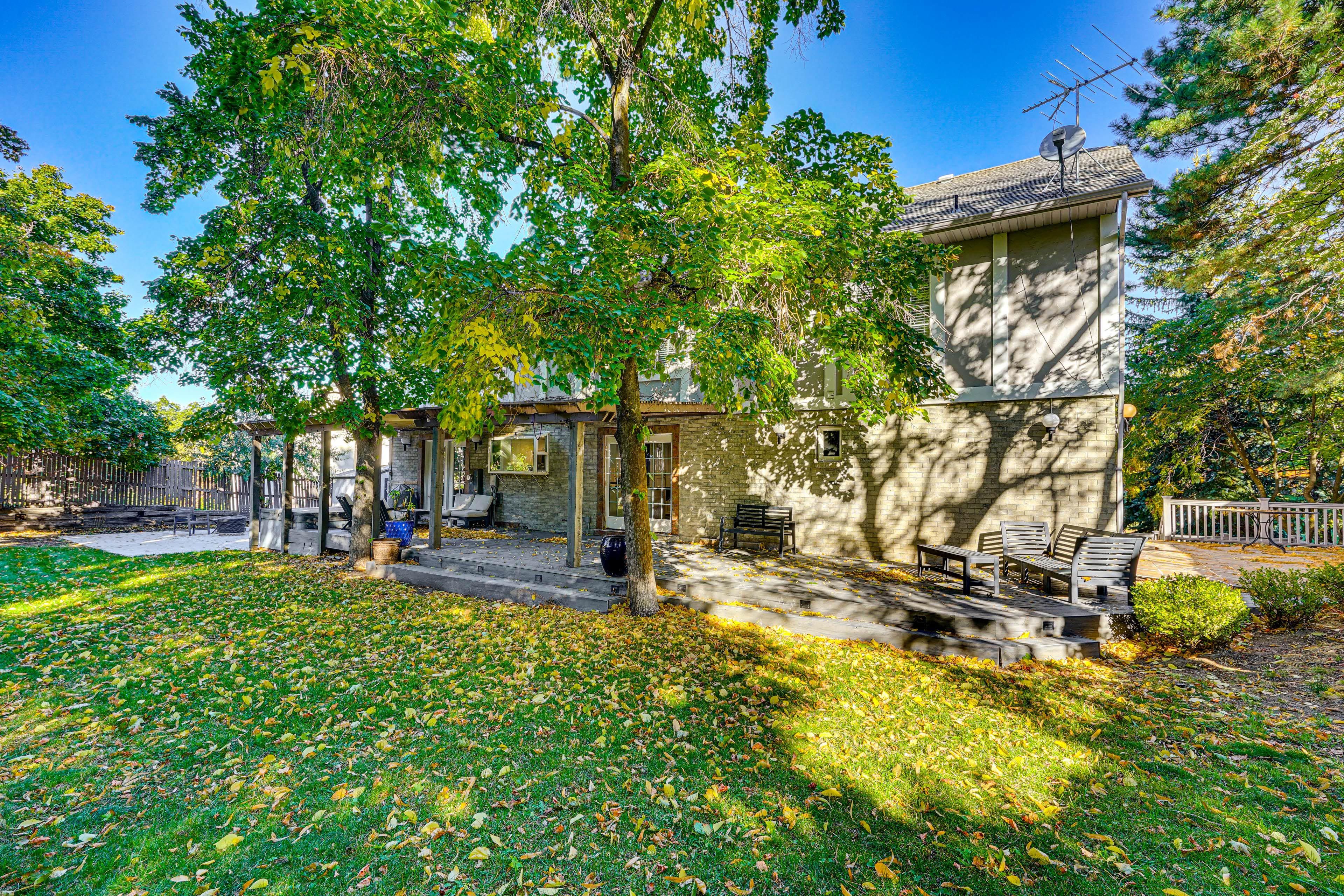 Spacious Backyard