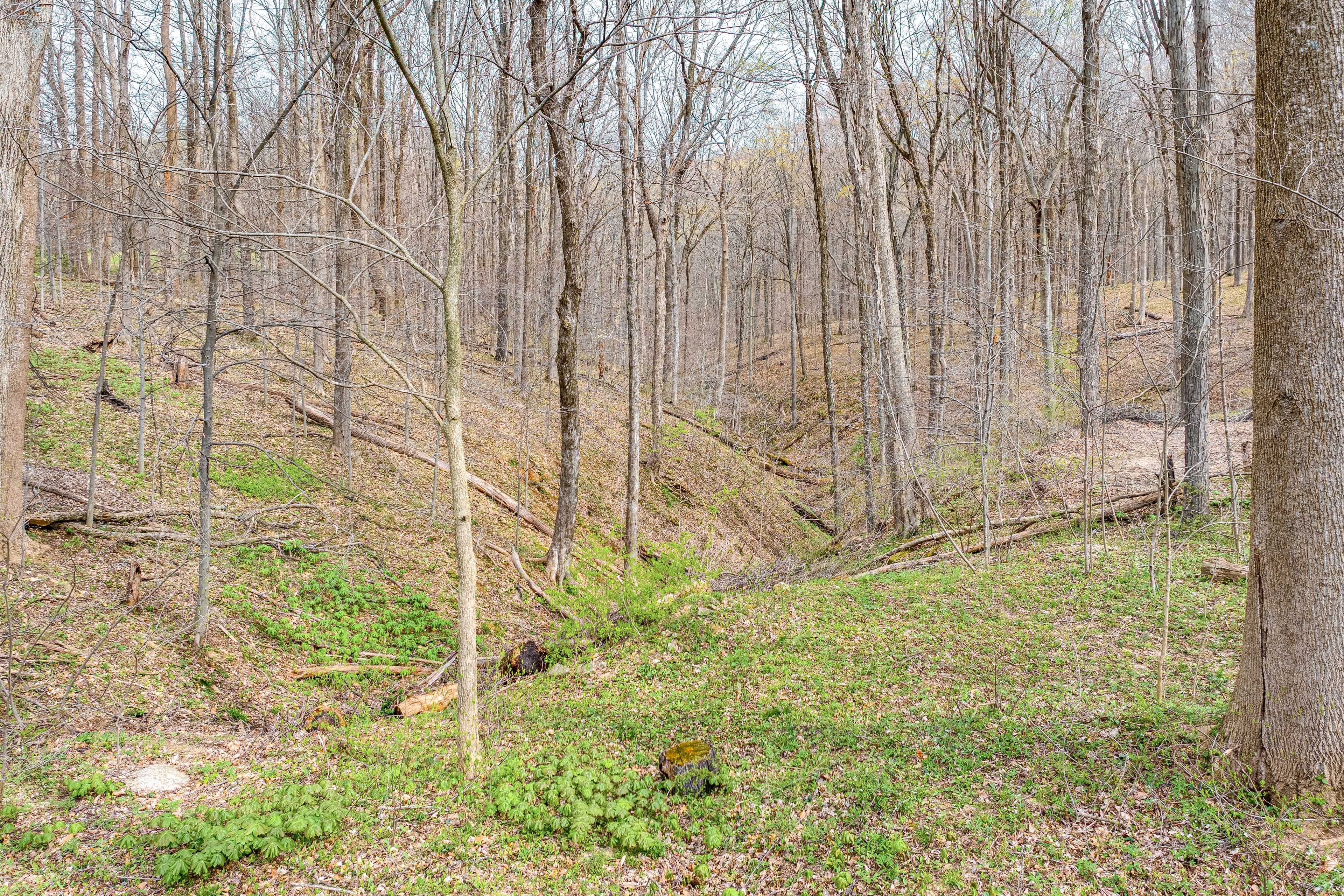 Image 25