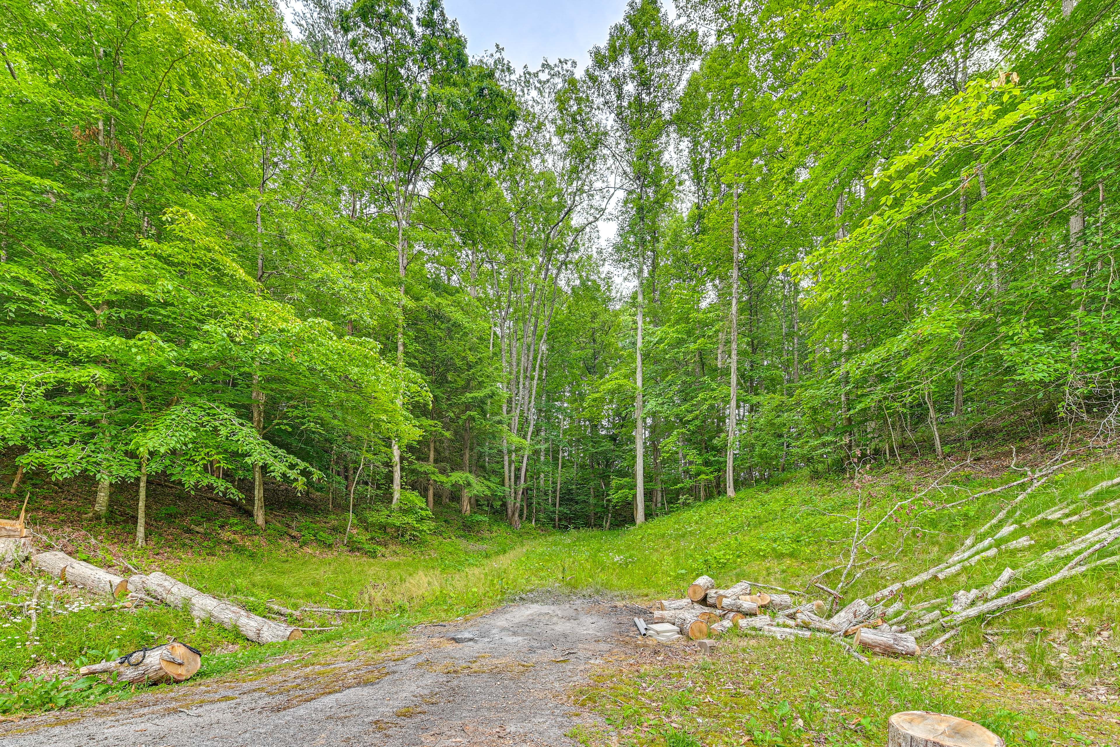 Parking | Driveway (3 Vehicles) | RV/Trailer Parking Available