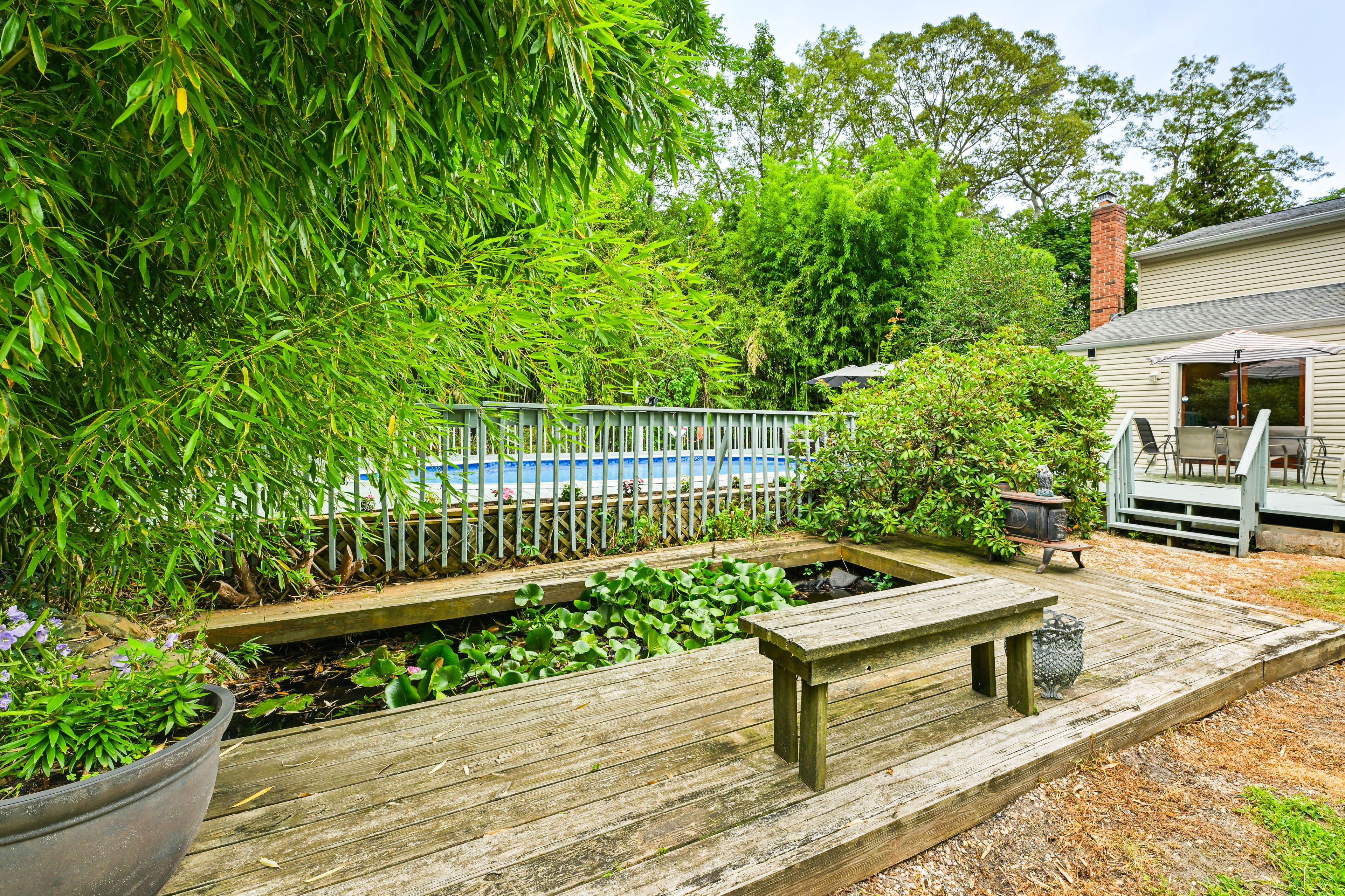 Meditative Koi Pond w/ Active Lilies