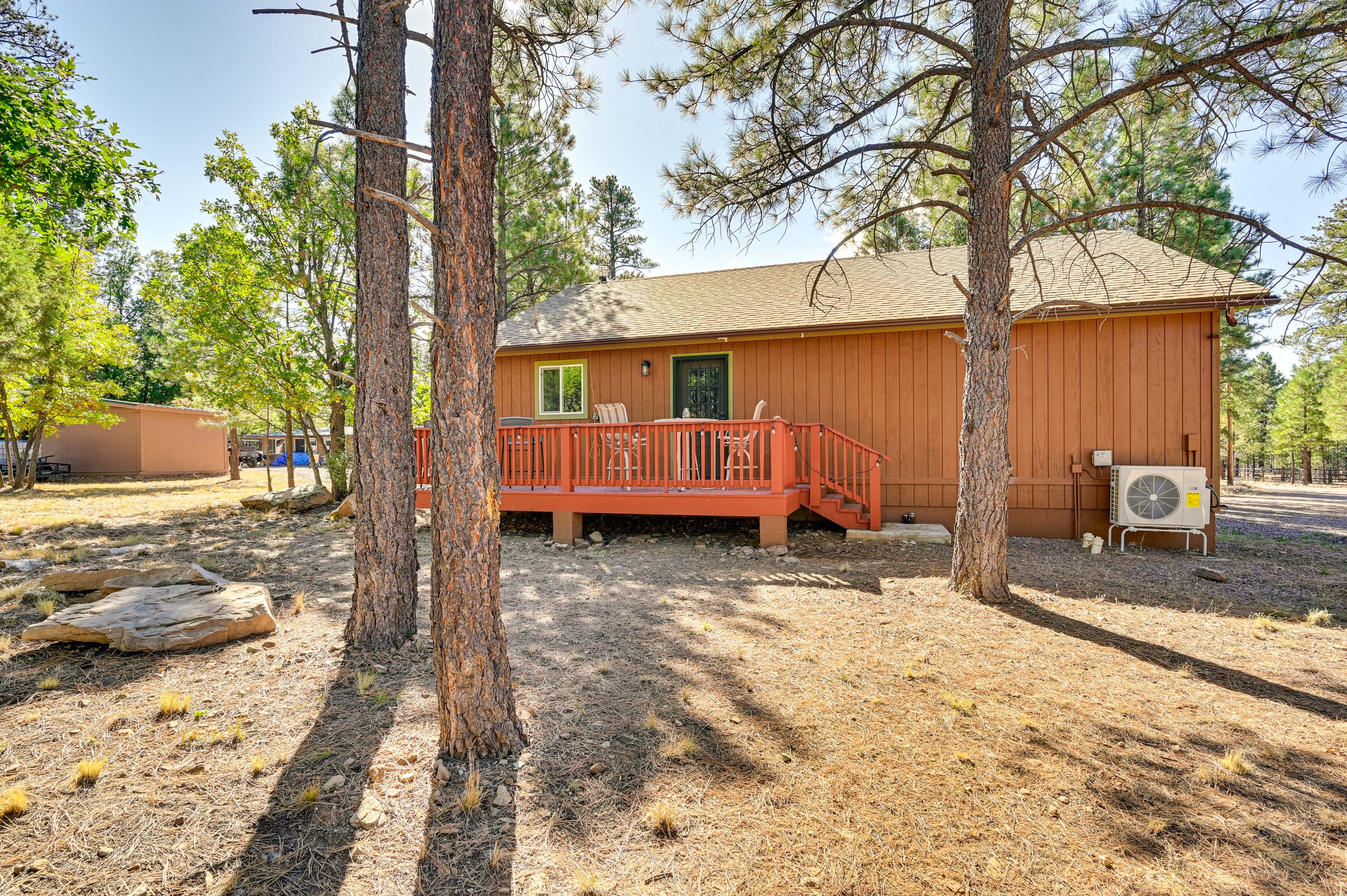 Open Yard Area
