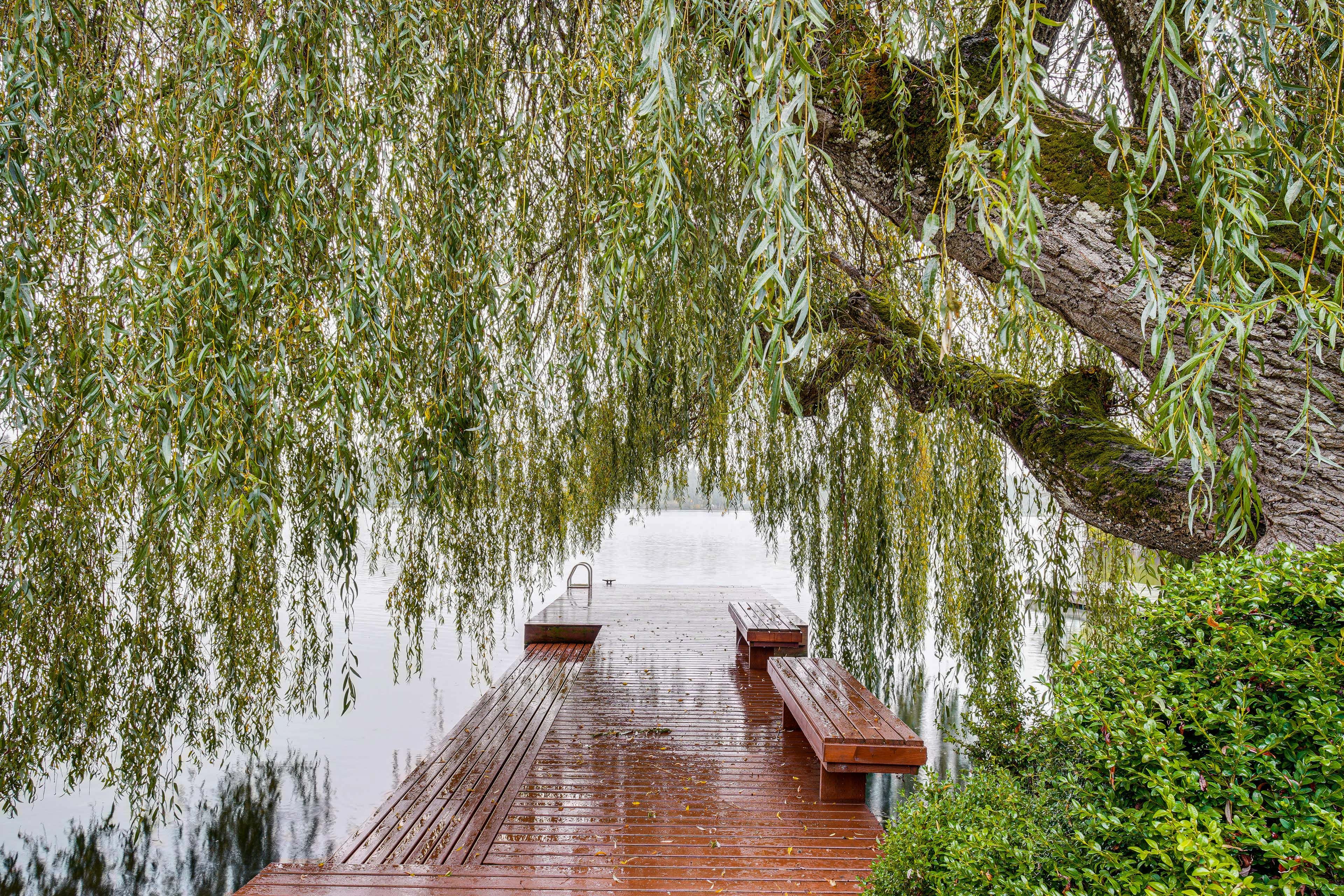 Lakefront | Private Dock | Boat Slip