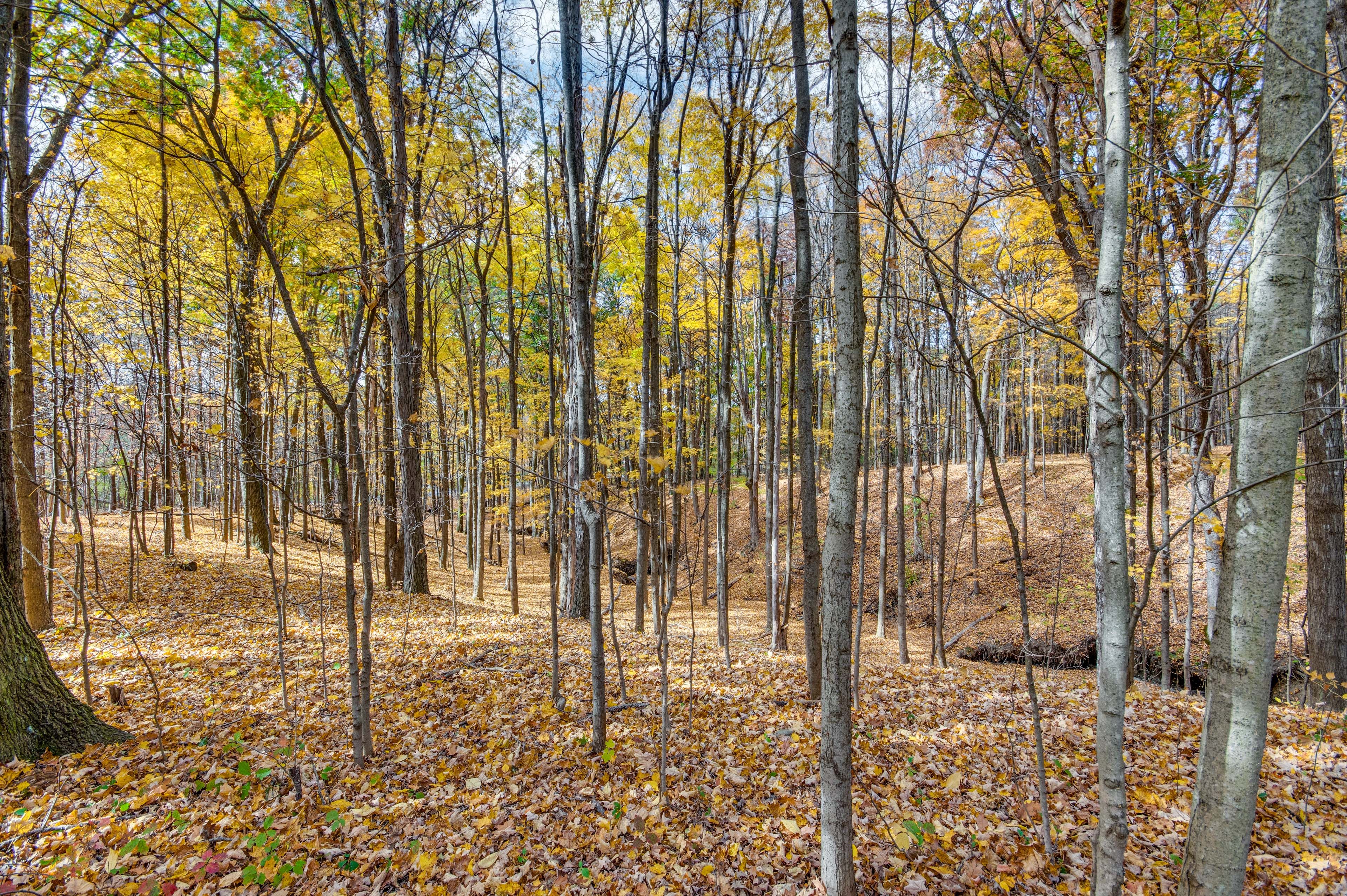 Surrounding Area