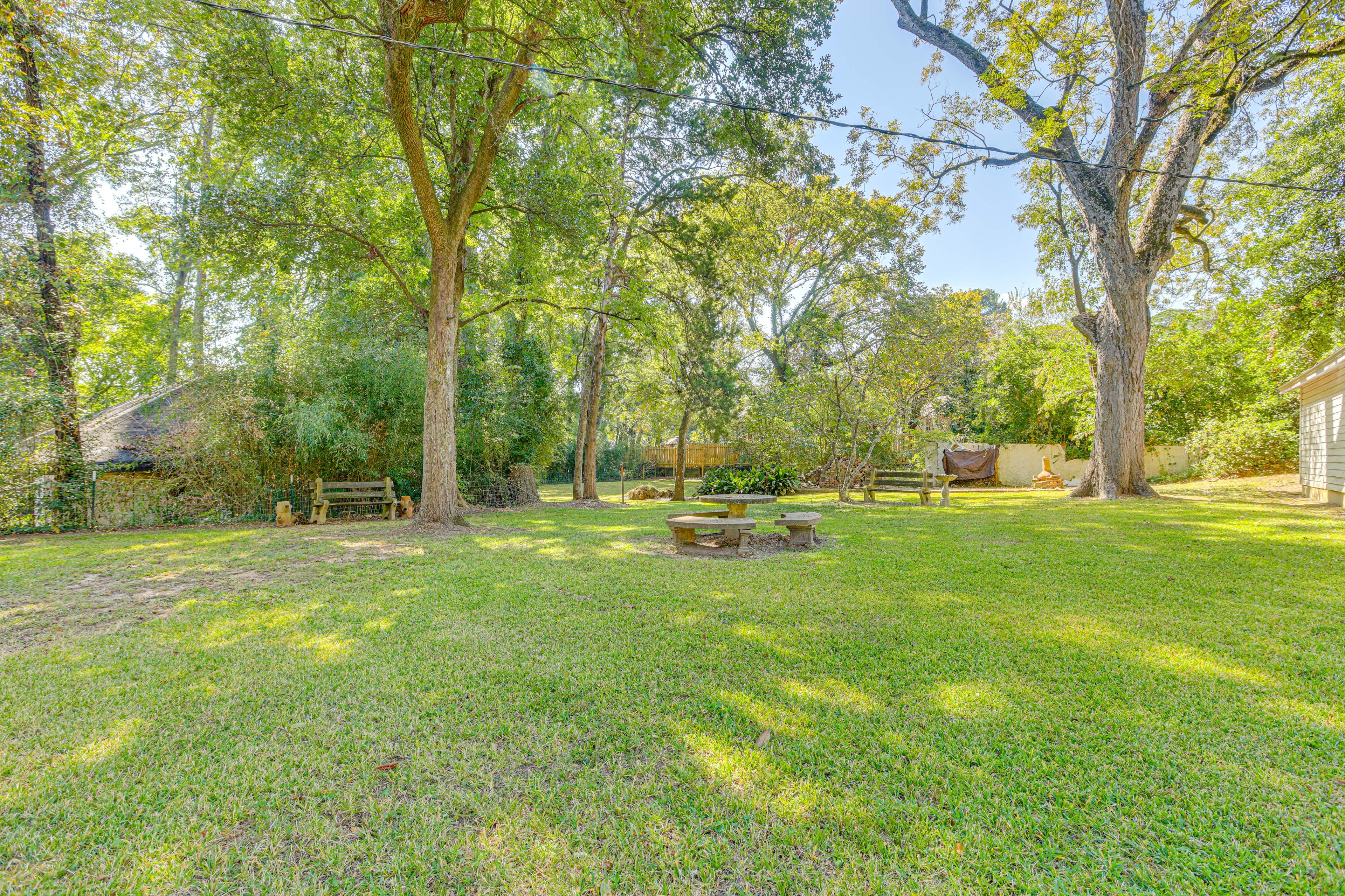Backyard