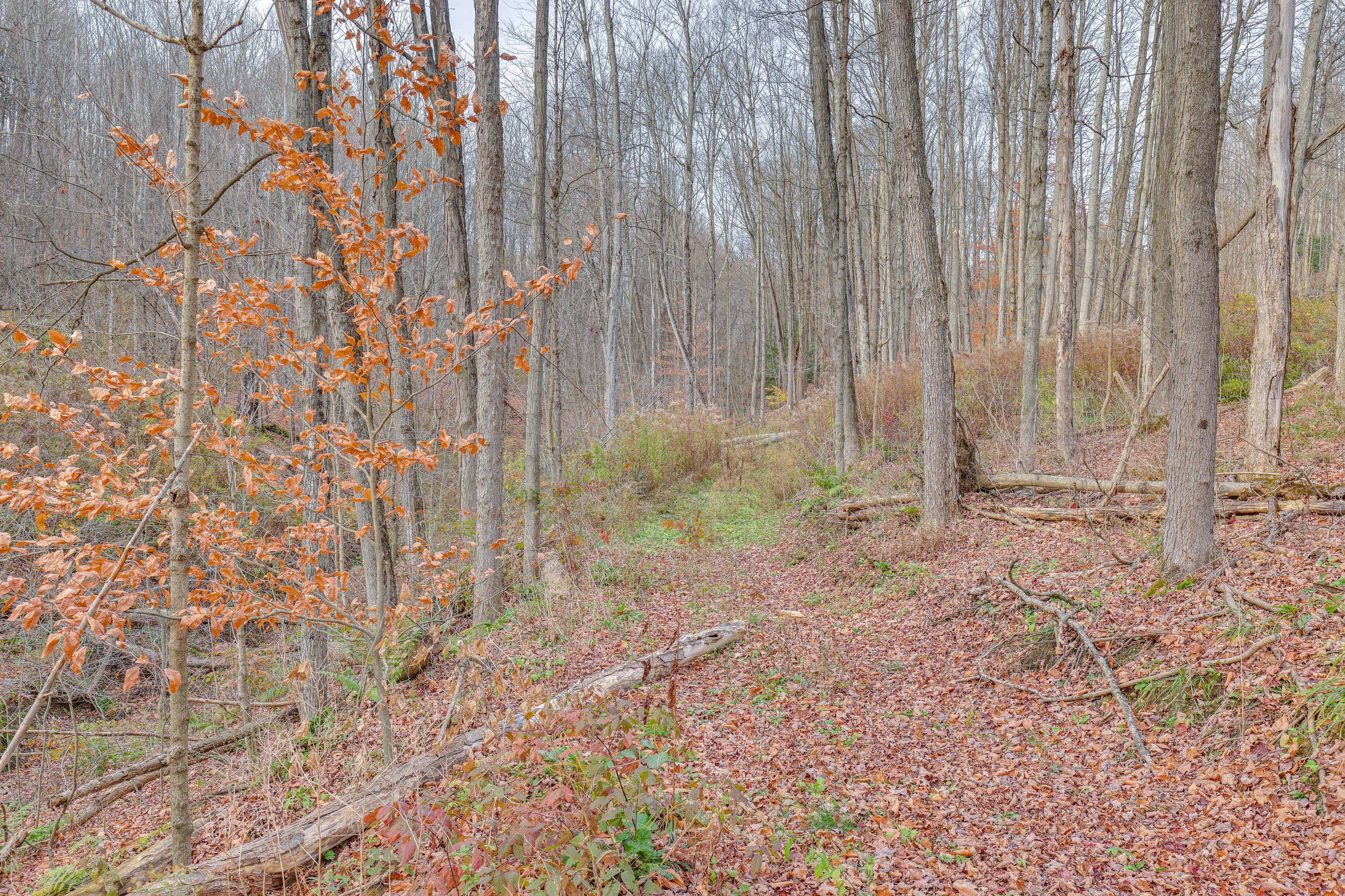 25 Private Acres