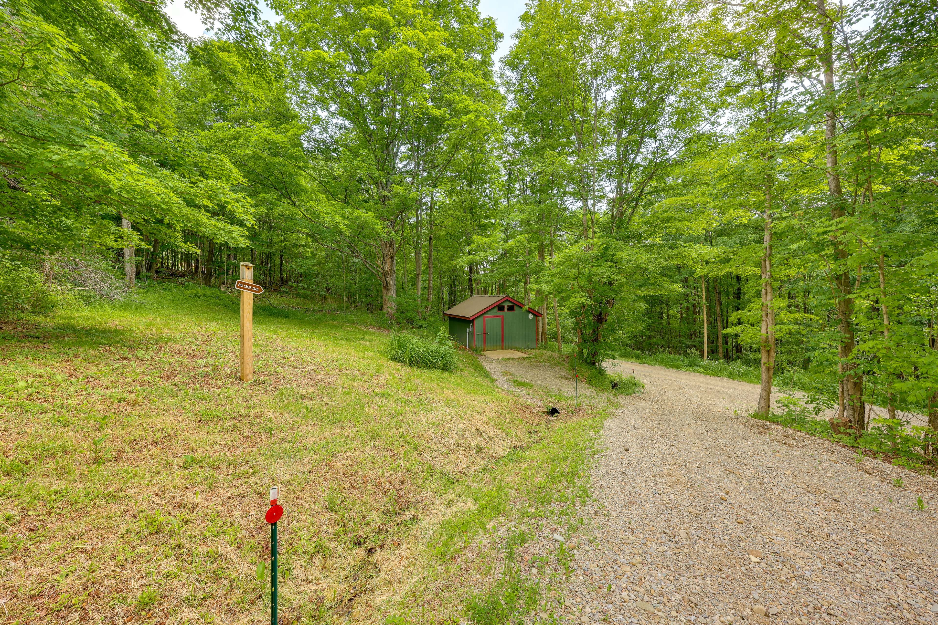 Image 25