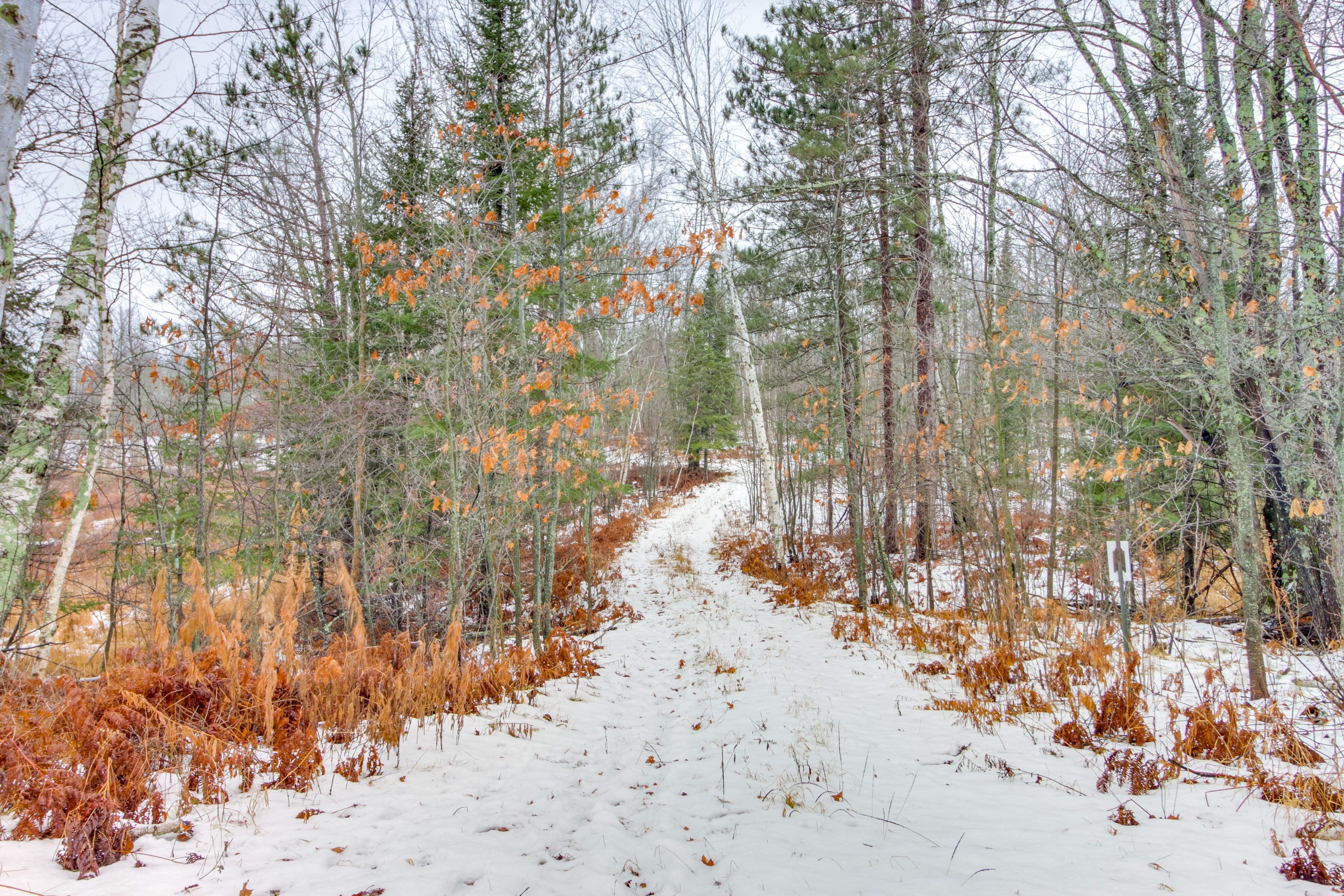 House Exterior | Hiking Trail Access