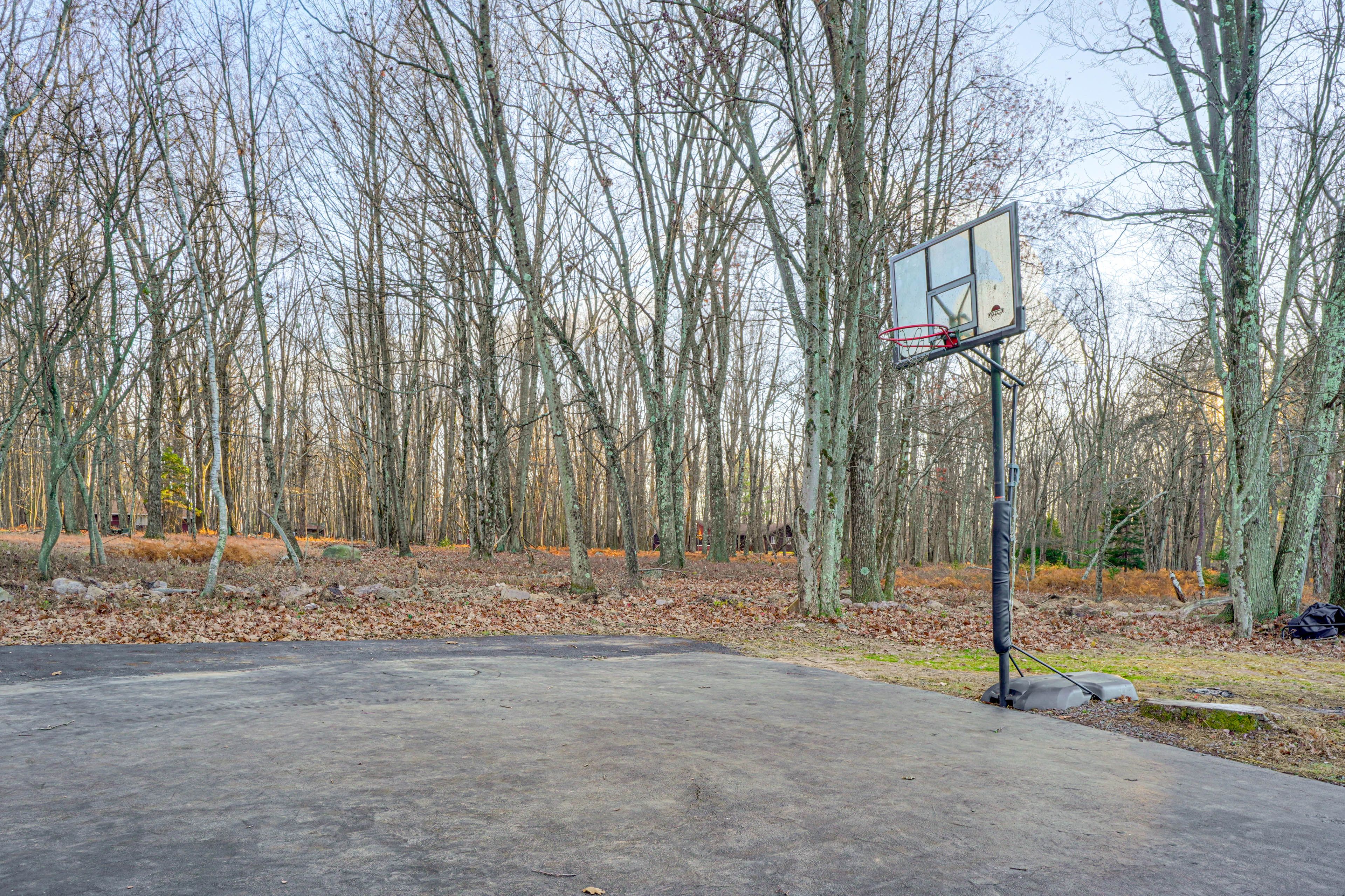 Basketball Court